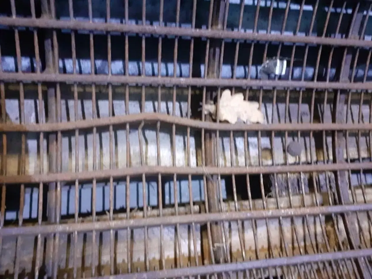 Billede 10 - Laverda 3500 Bro 320545800