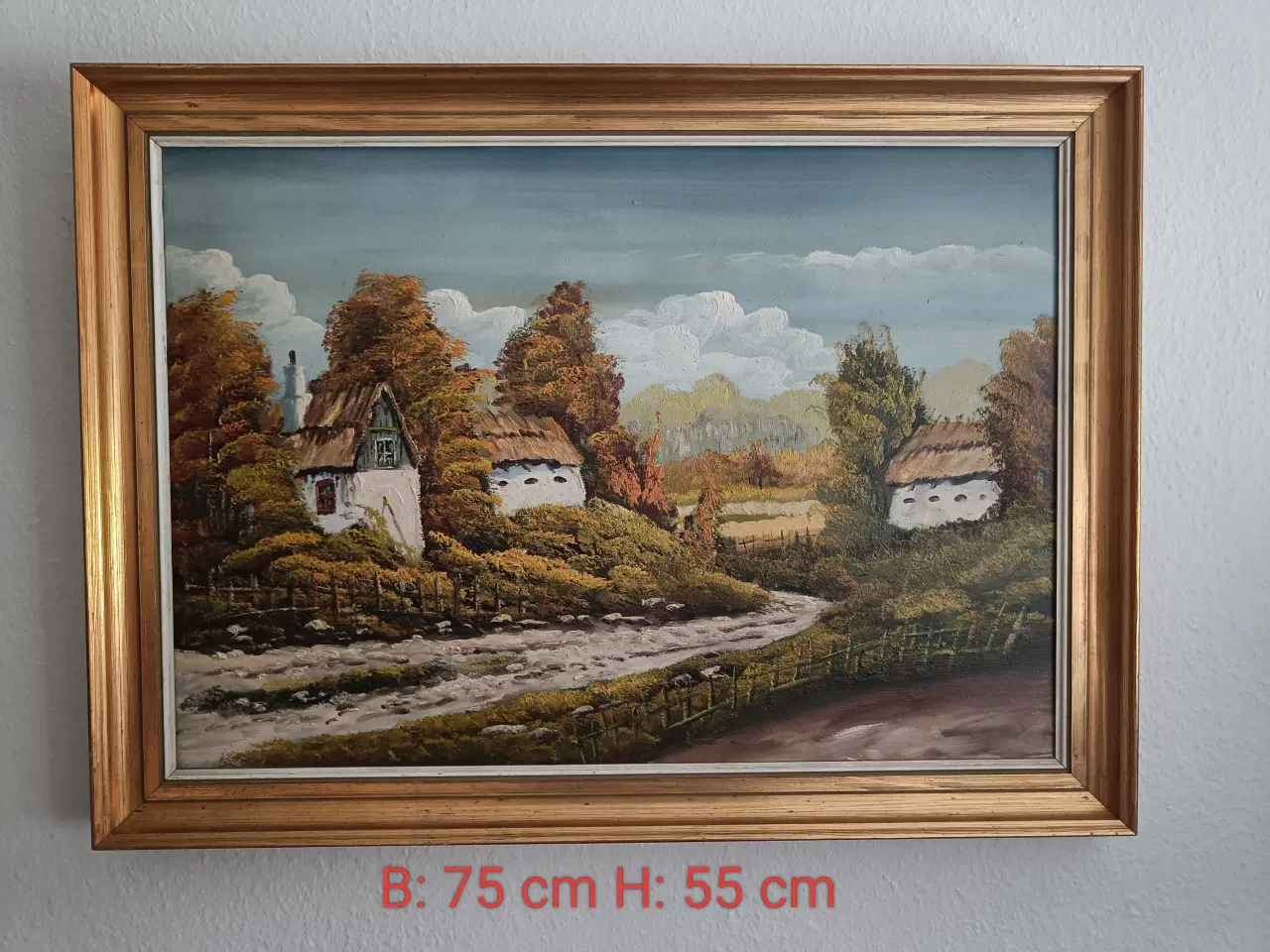 Billede 1 - Landligt landskab