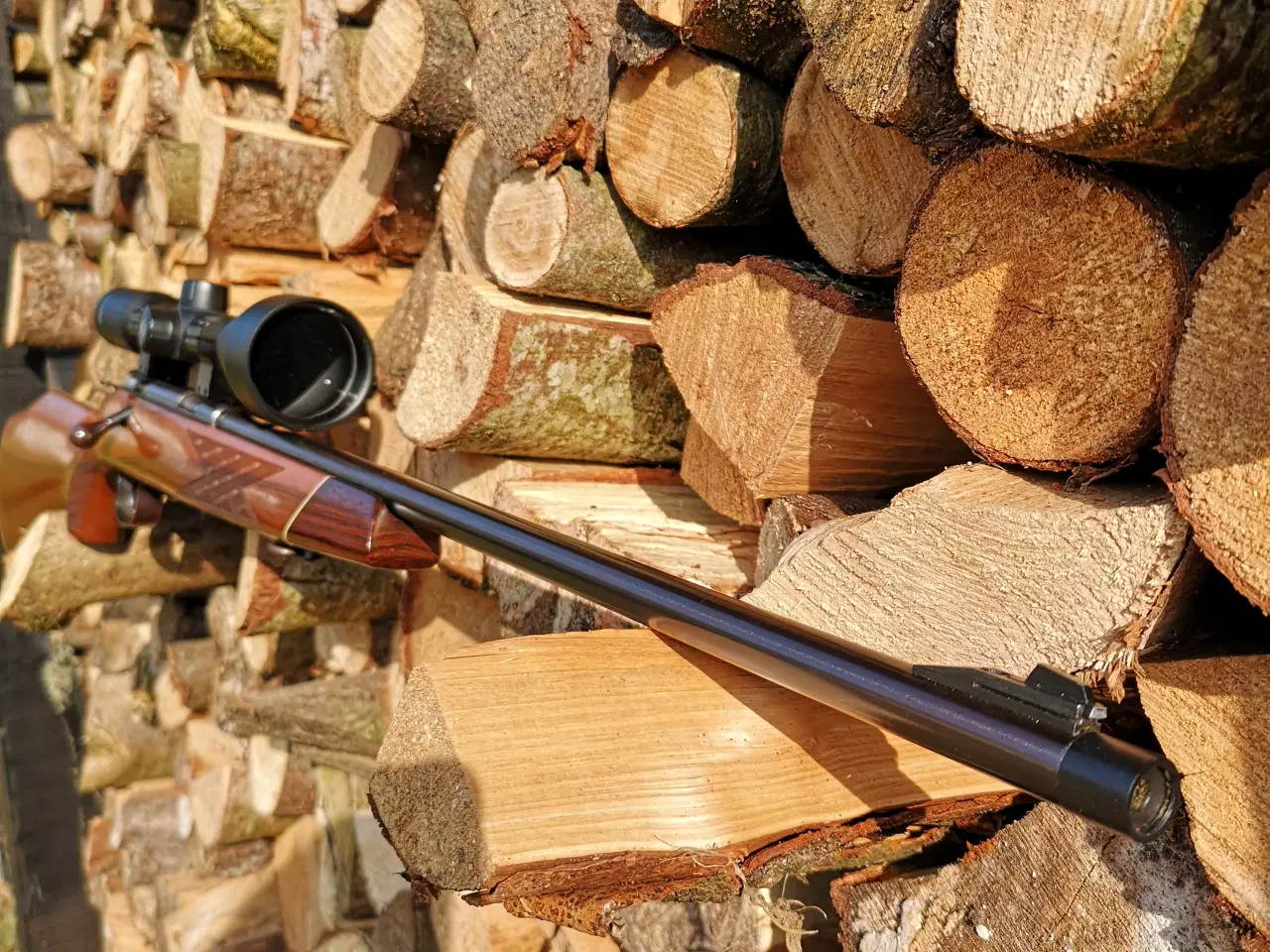 Billede 5 - Vore 22 magnum med Zeiss Terra 3X 3-9x50 kikkert