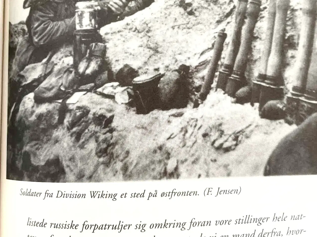 Billede 4 - Under hagekors og Dannebrog/ Danskere i Waffen SS