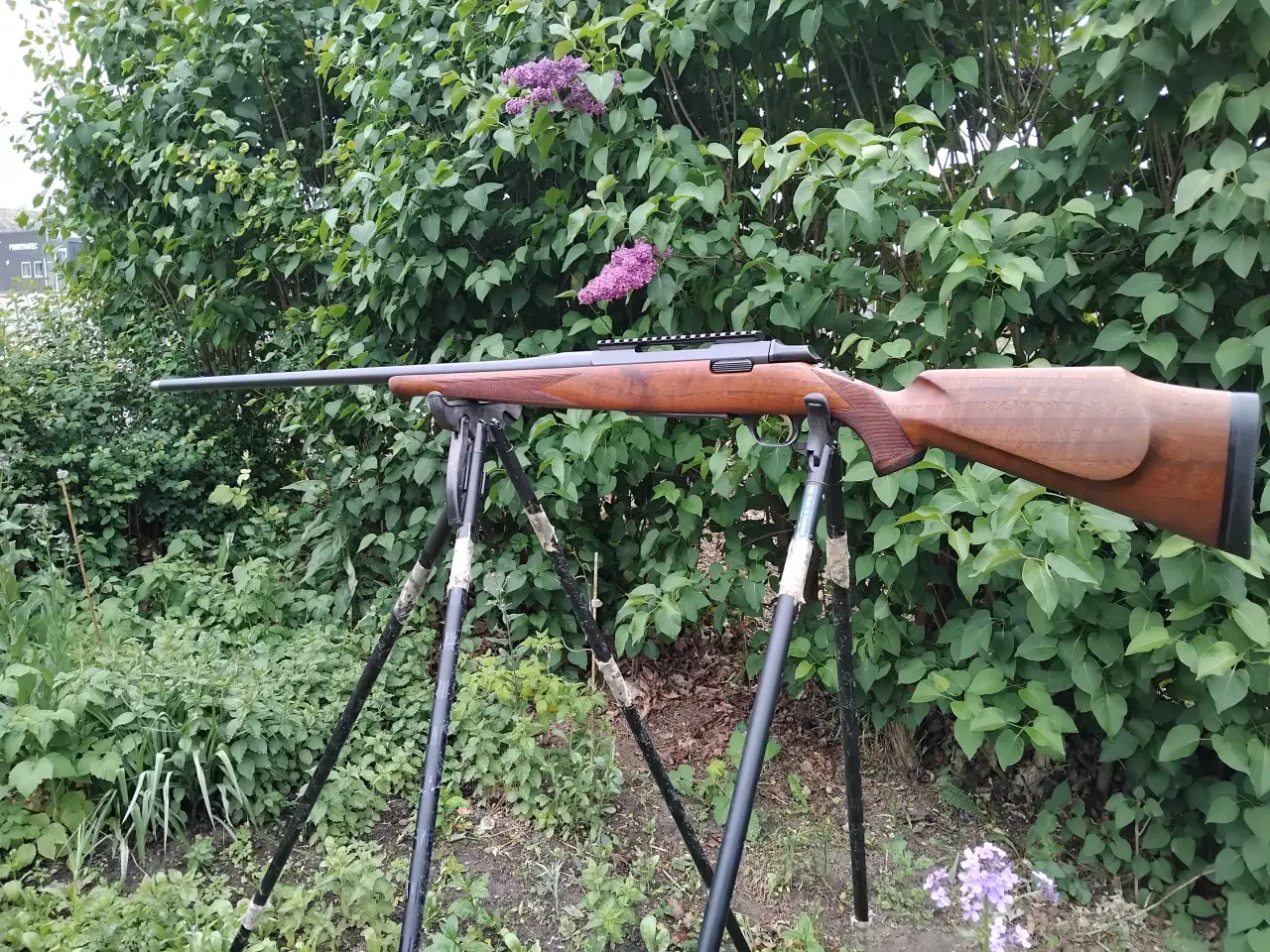 Billede 1 - Browning A-bolt 7mm Rem Mag 