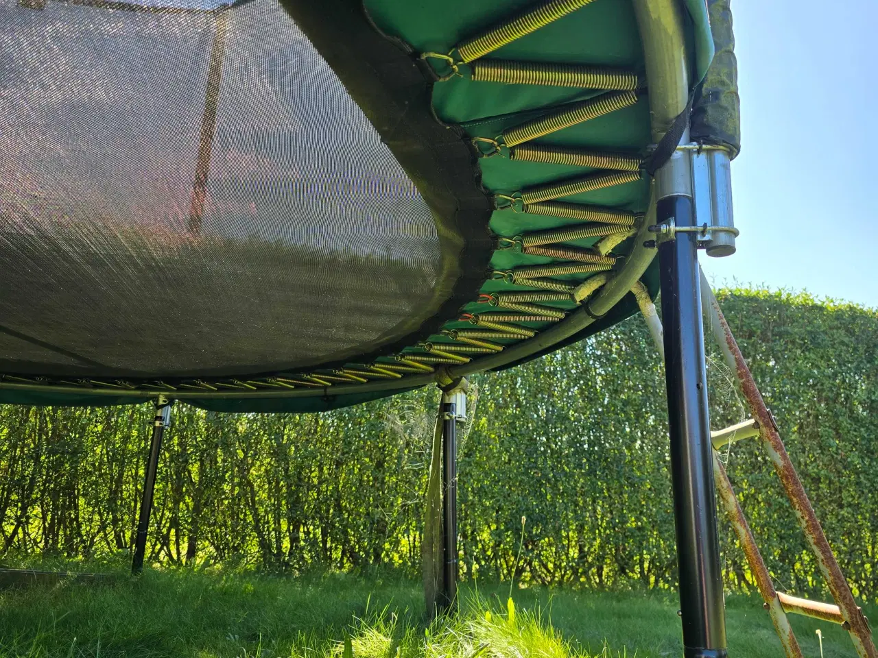 Billede 5 - Berg Champion trampolin