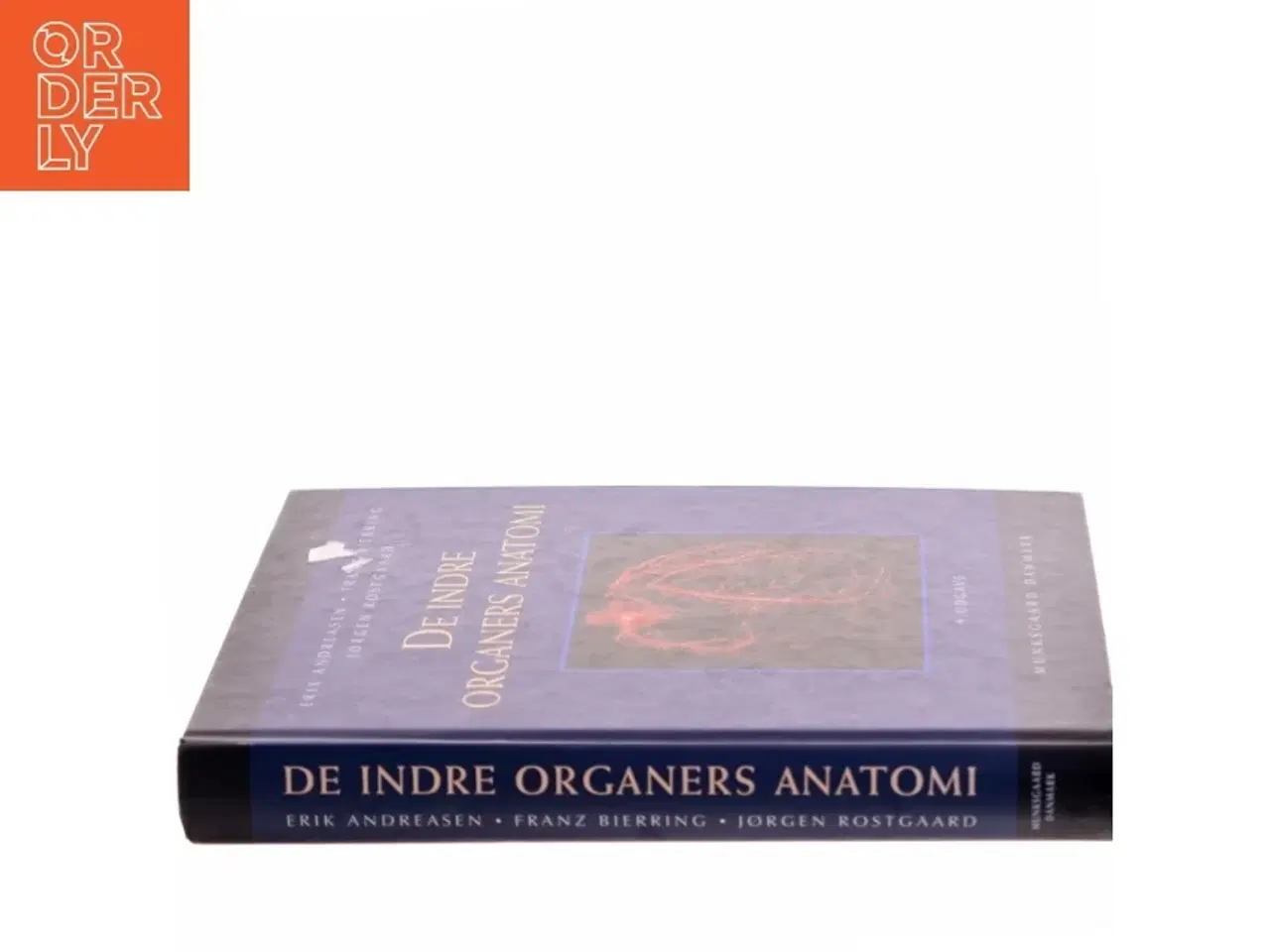 Billede 2 - De indre organers anatomi (Bog)
