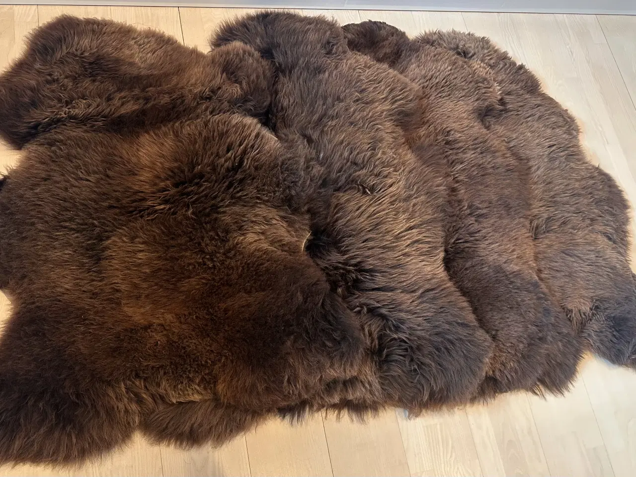 Billede 1 - 4 helt nye lammeskind