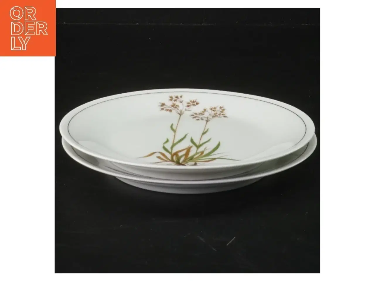 Billede 1 - Porcelænstallerkener med blomstermotiv fra Royal Tettau (str. Ø 17 cm)