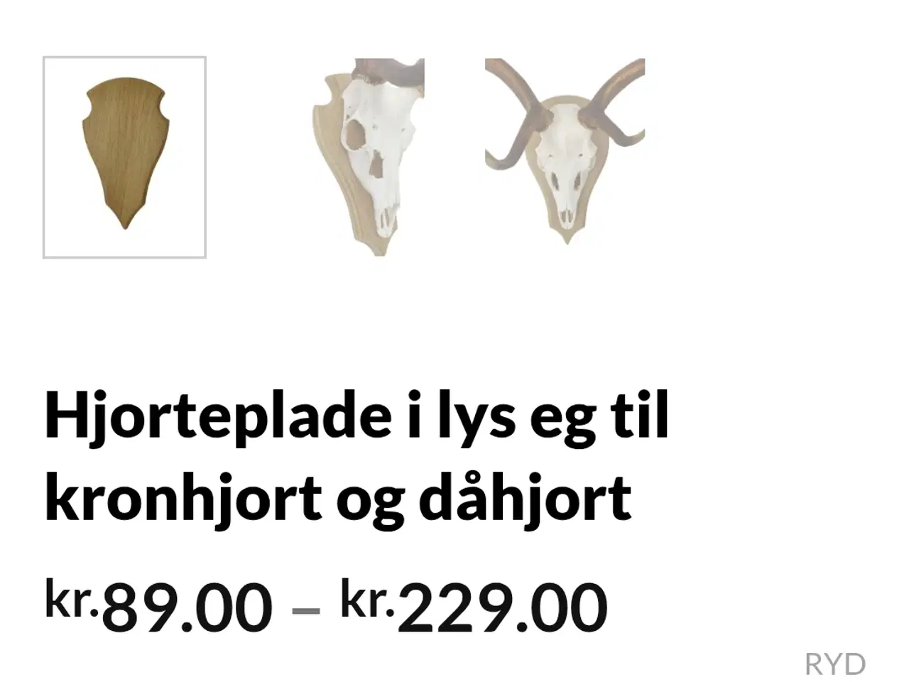 Billede 2 - Trofæplader sælges buk og hjort.