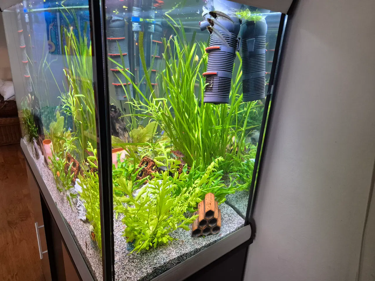 Billede 6 - Akvarium 240L med skab og tilbehør