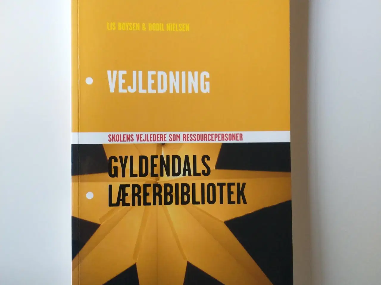 Billede 1 - Vejledning - skolens vejledere som ressourceperson