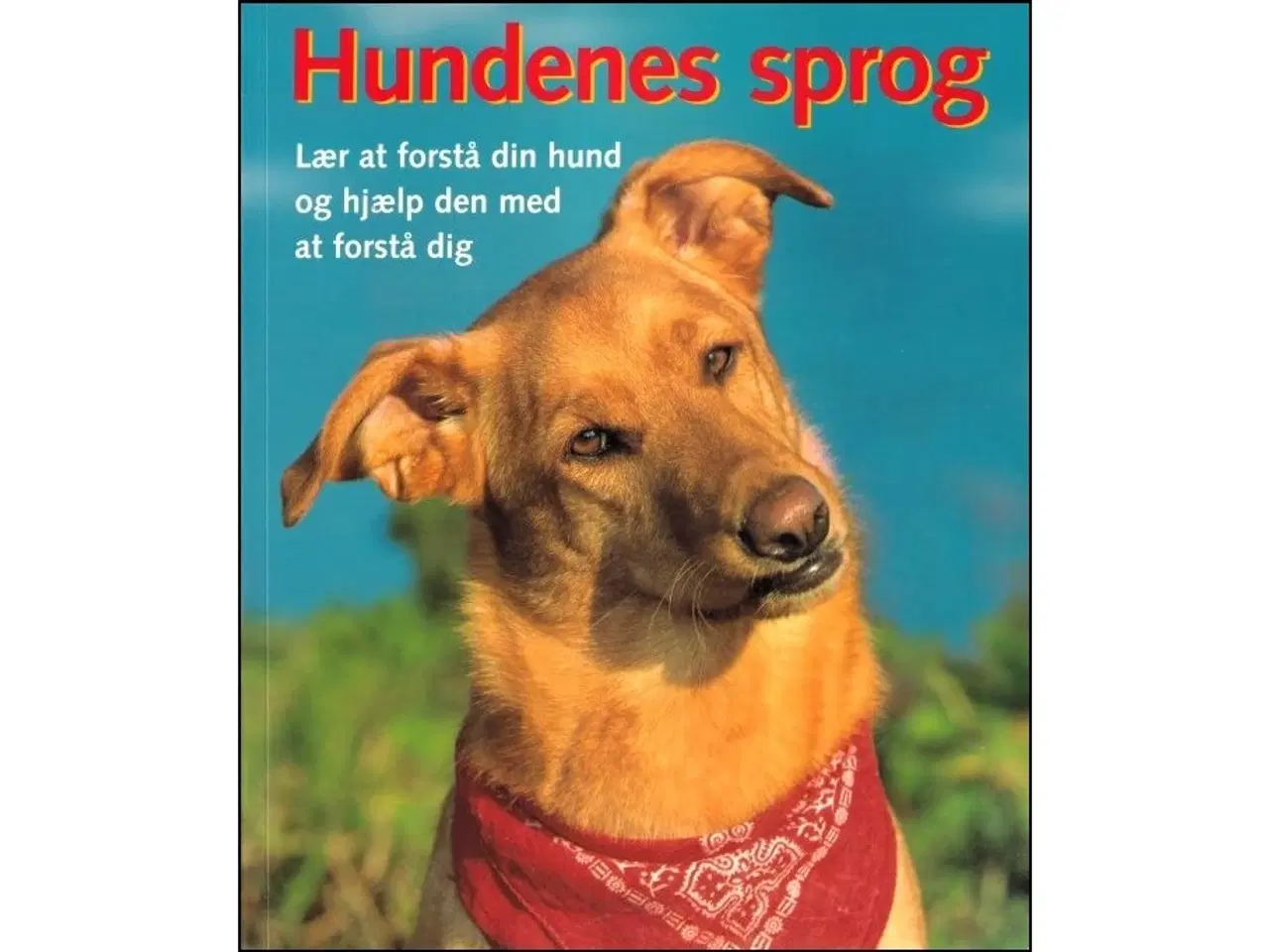 Billede 1 - Hundenes Sprog