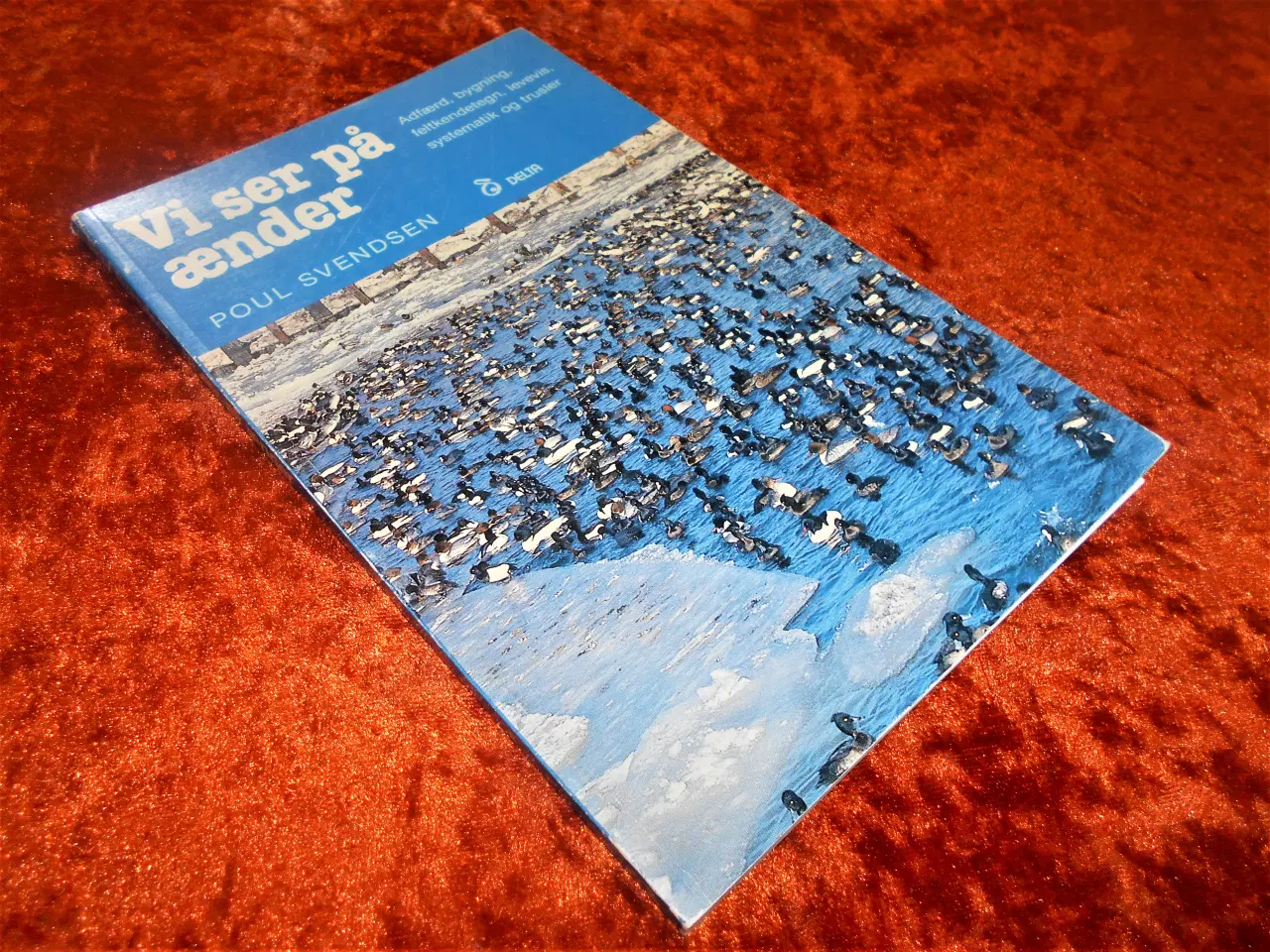 Billede 1 - Vi ser på ænder, Poul Svendsen