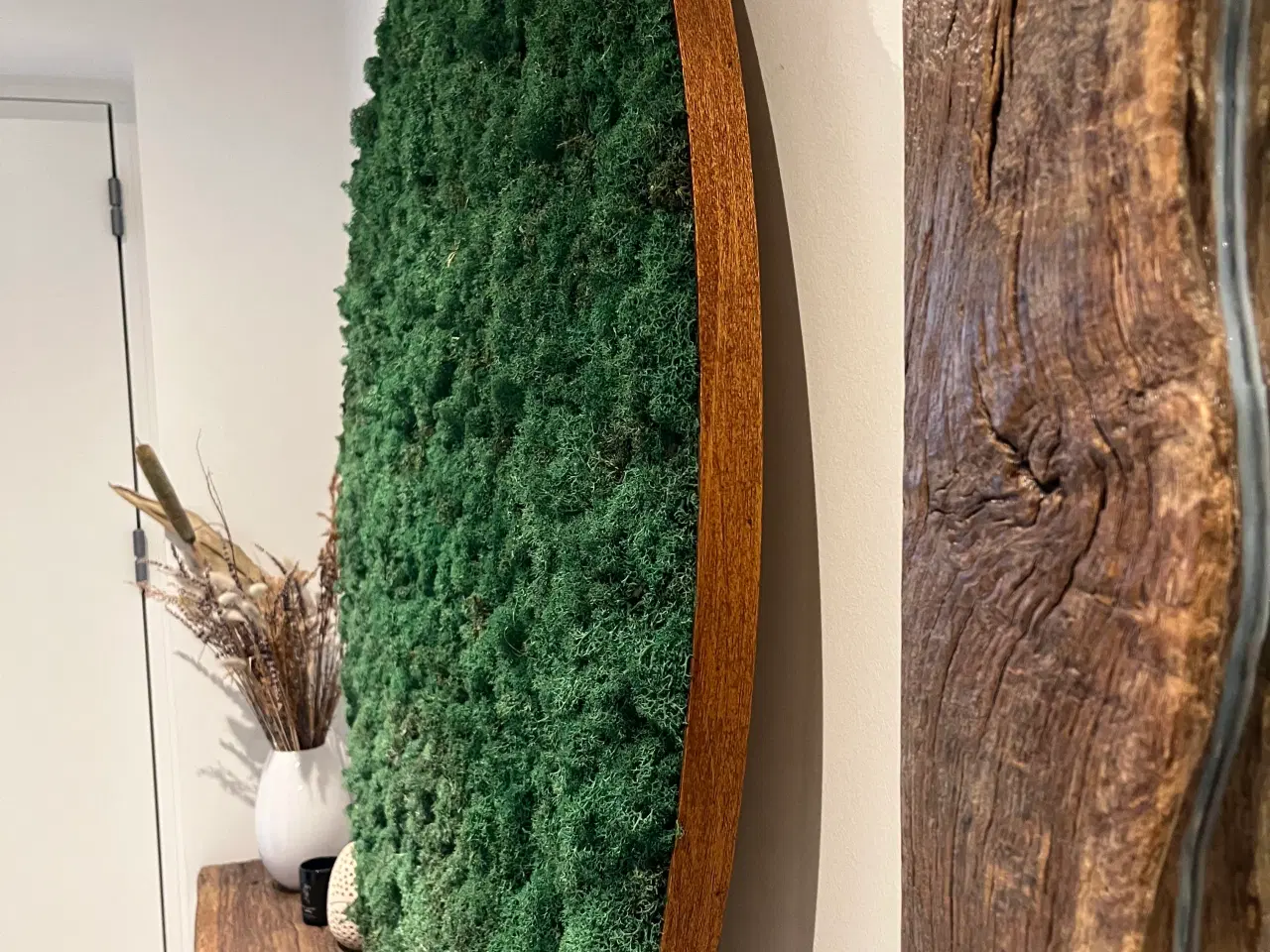 Billede 9 - Mos billede med LED