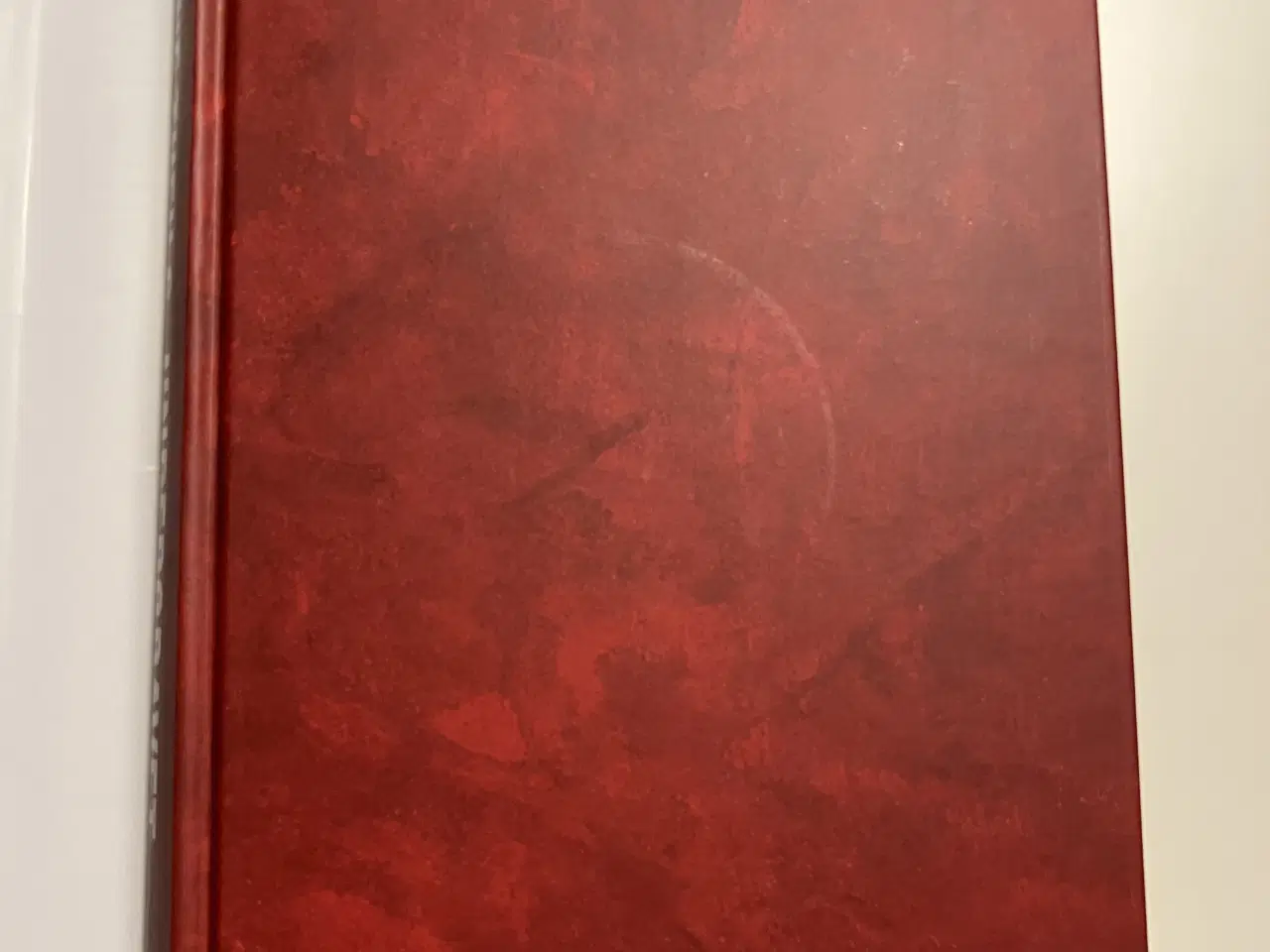 Billede 5 - Undergravet. Af Lone Theils