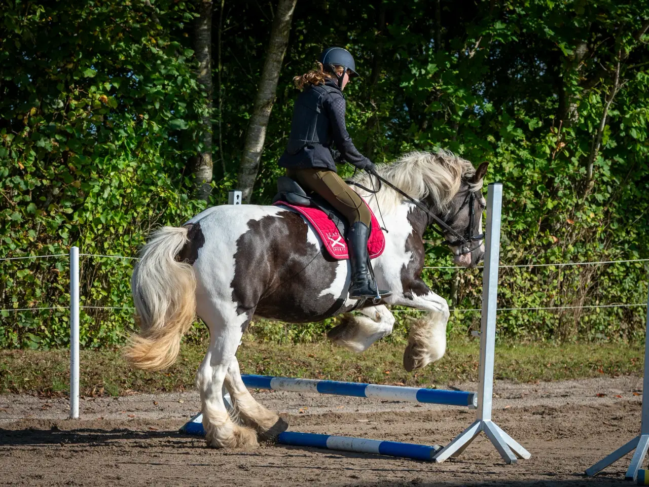 Billede 4 - Tinker hoppe 