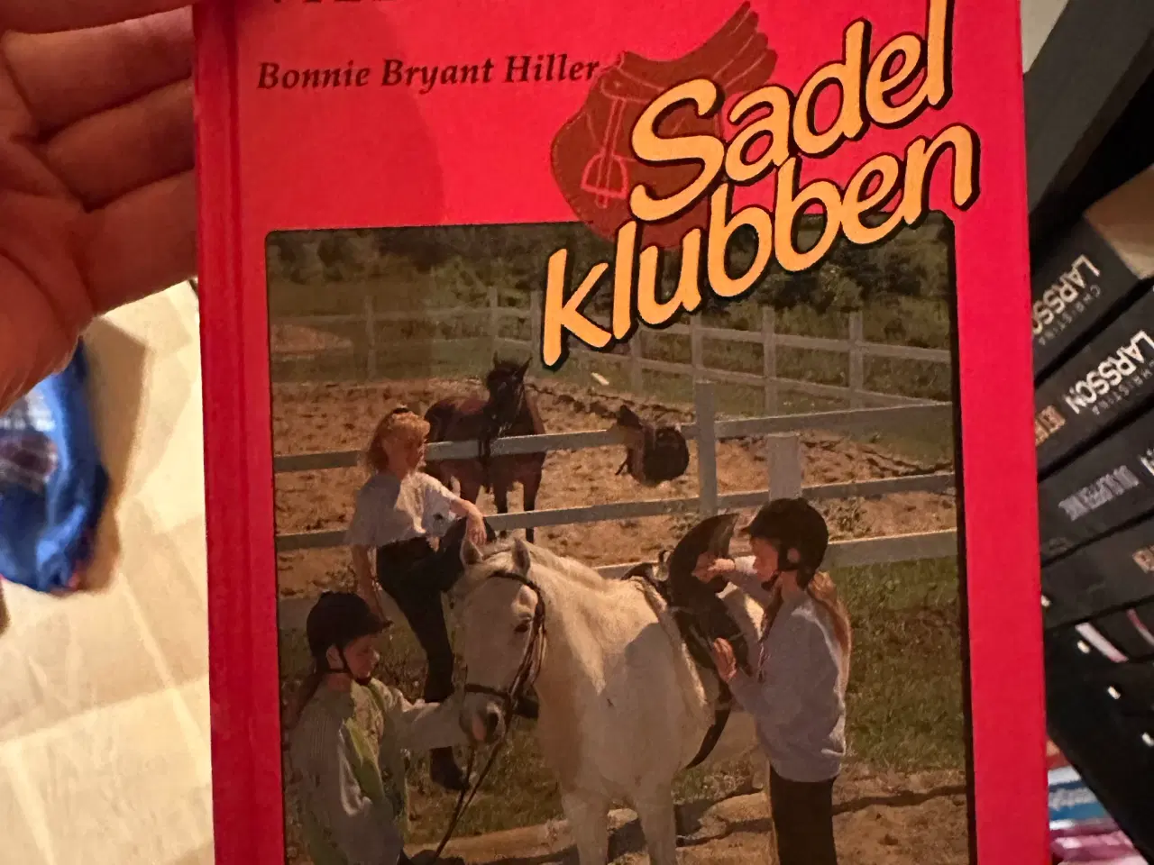 Billede 2 - Sadelklubben 