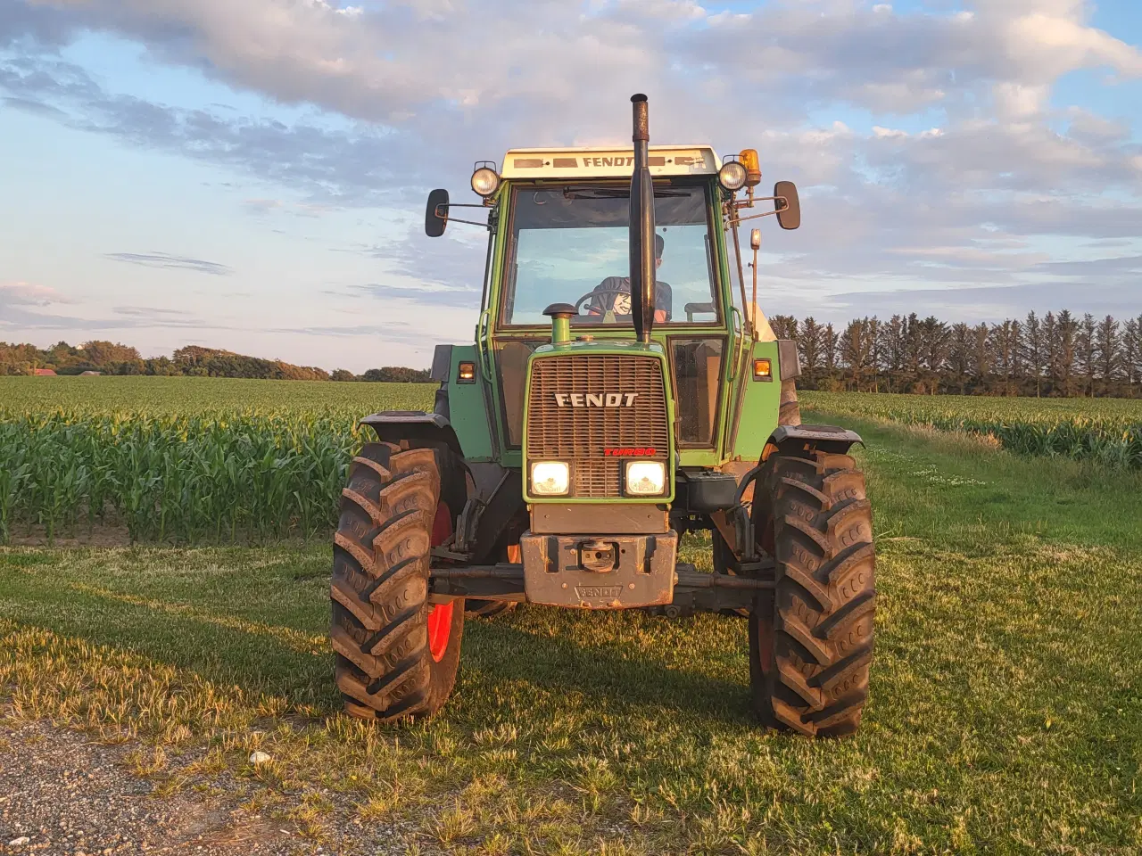 Billede 2 - Fendt 308 lsa