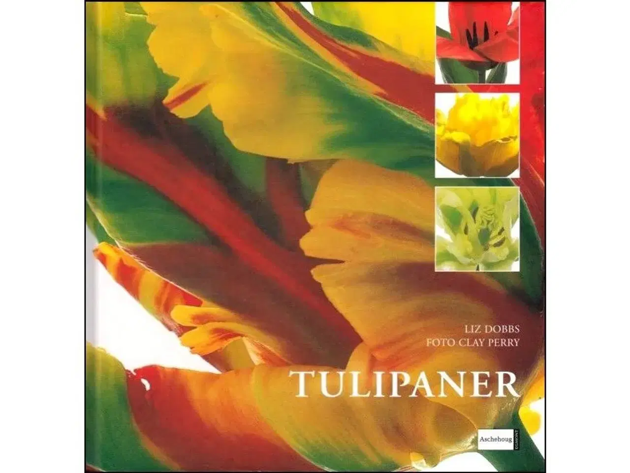 Billede 1 - Tulipaner