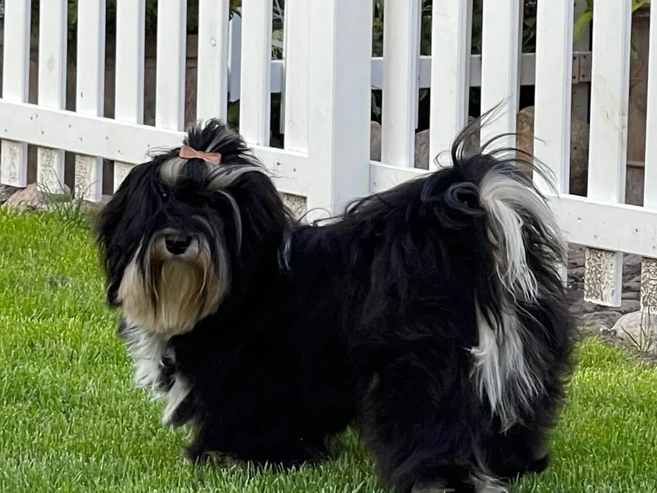 Billede 15 - 💙Skal Ditlev være din 💙