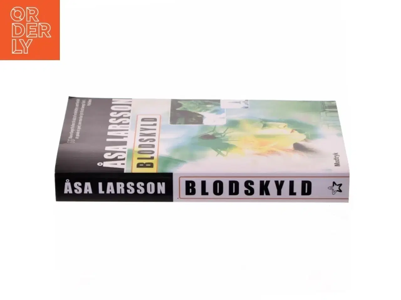 Billede 2 - Blodskyld af Åsa Larsson (Bog)