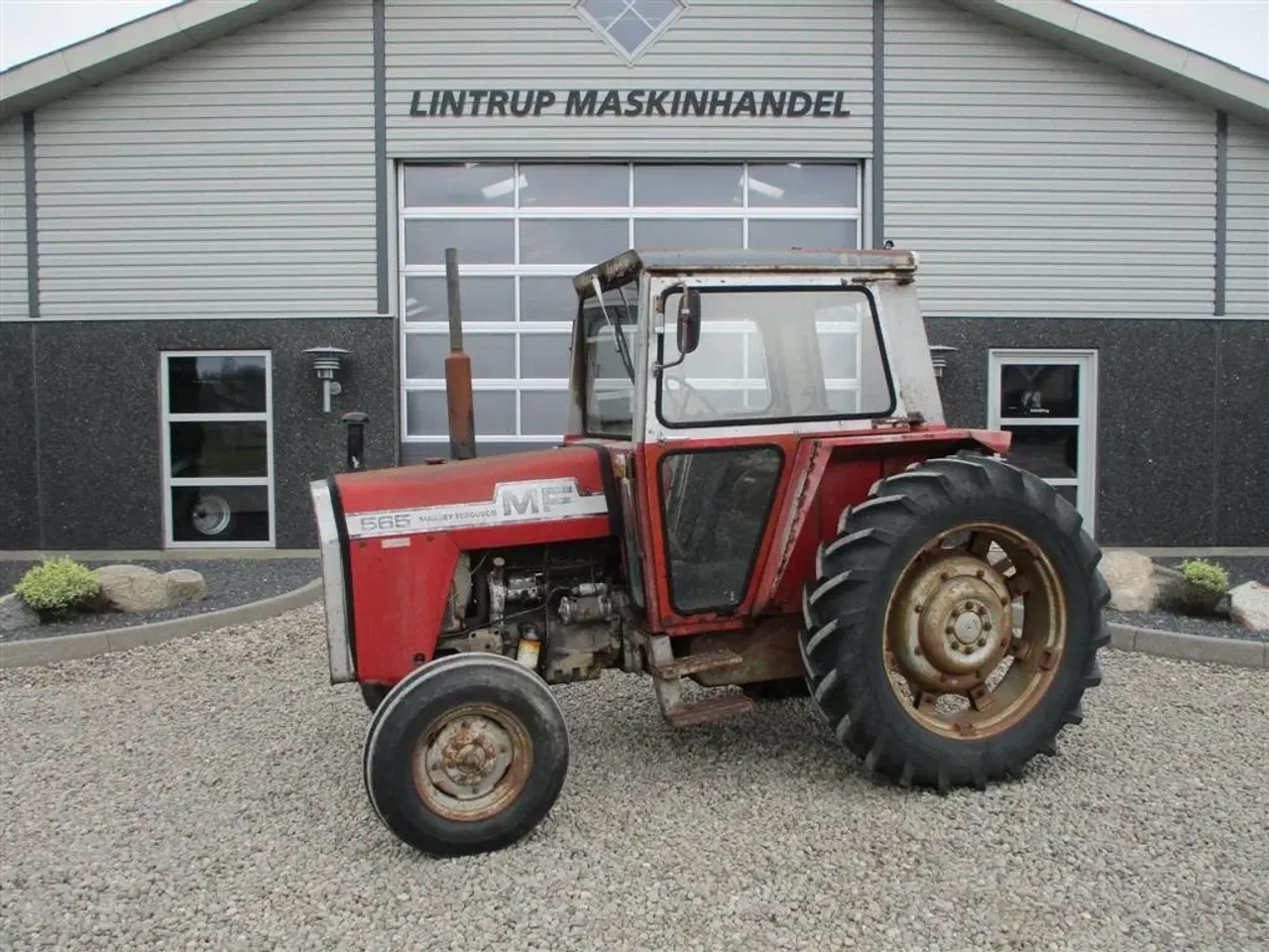 Billede 1 - Massey Ferguson 565 Med orginal registringsattest til og srvostyrring