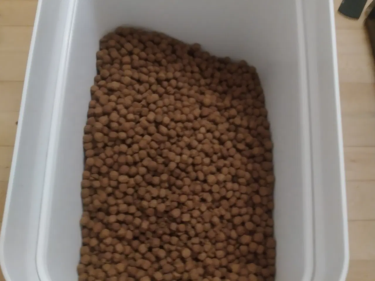 Billede 16 - Hund kat med tilbehør