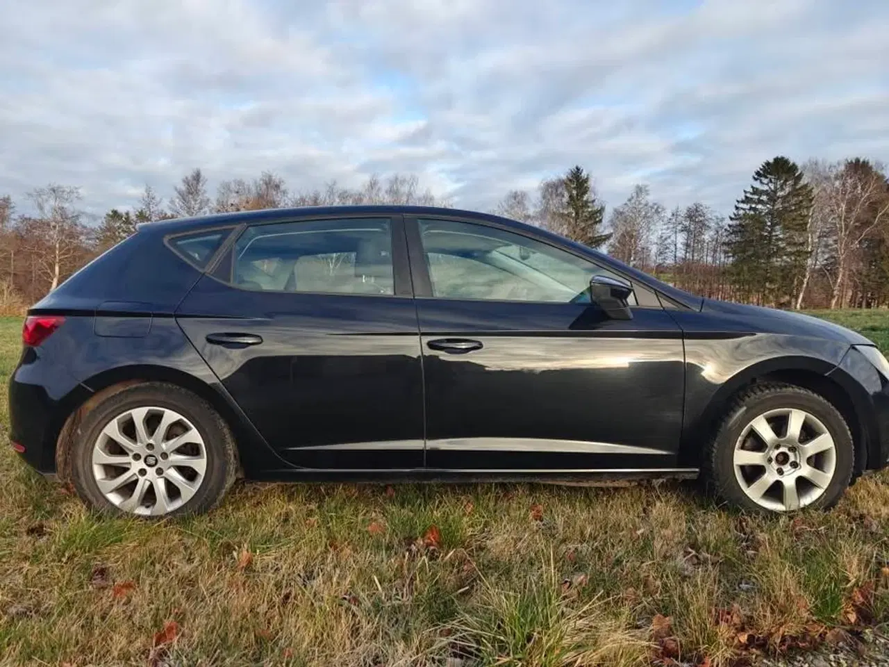 Billede 6 - SEAT Leon med massere af kræfter og komfort