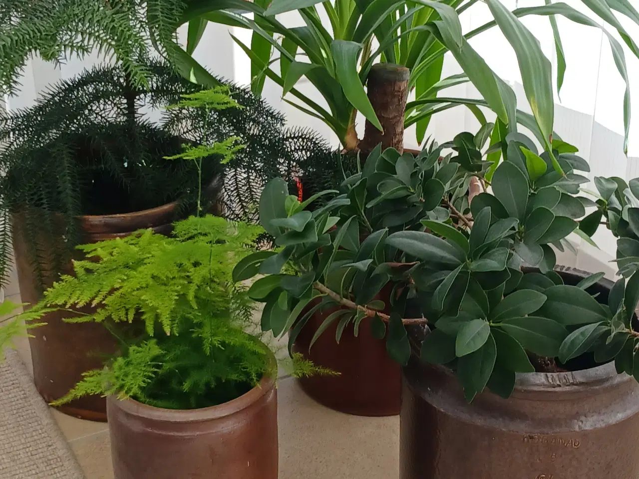 Billede 2 - Syltekrukker Høganæs m.fl.