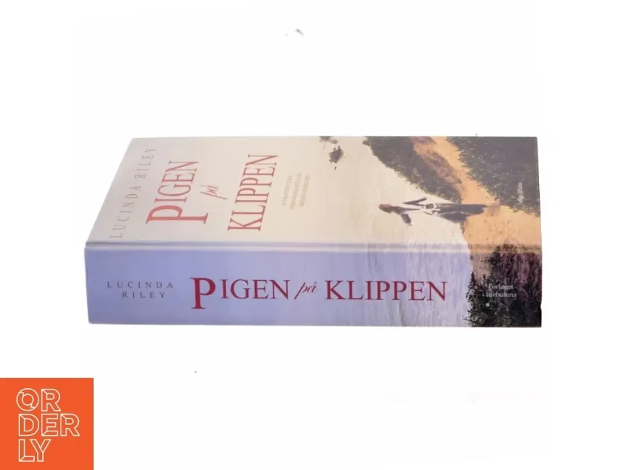 Billede 2 - Pigen på klippen bog fra Turbulenz