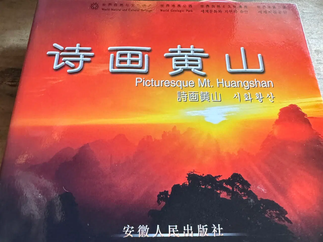 Billede 4 - Japansk have ,bonsai, japansk home