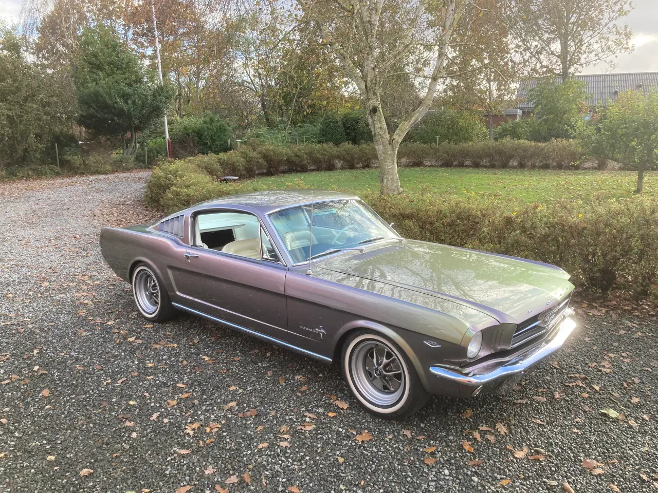 Billede 1 - 1965 Mustang Fastback