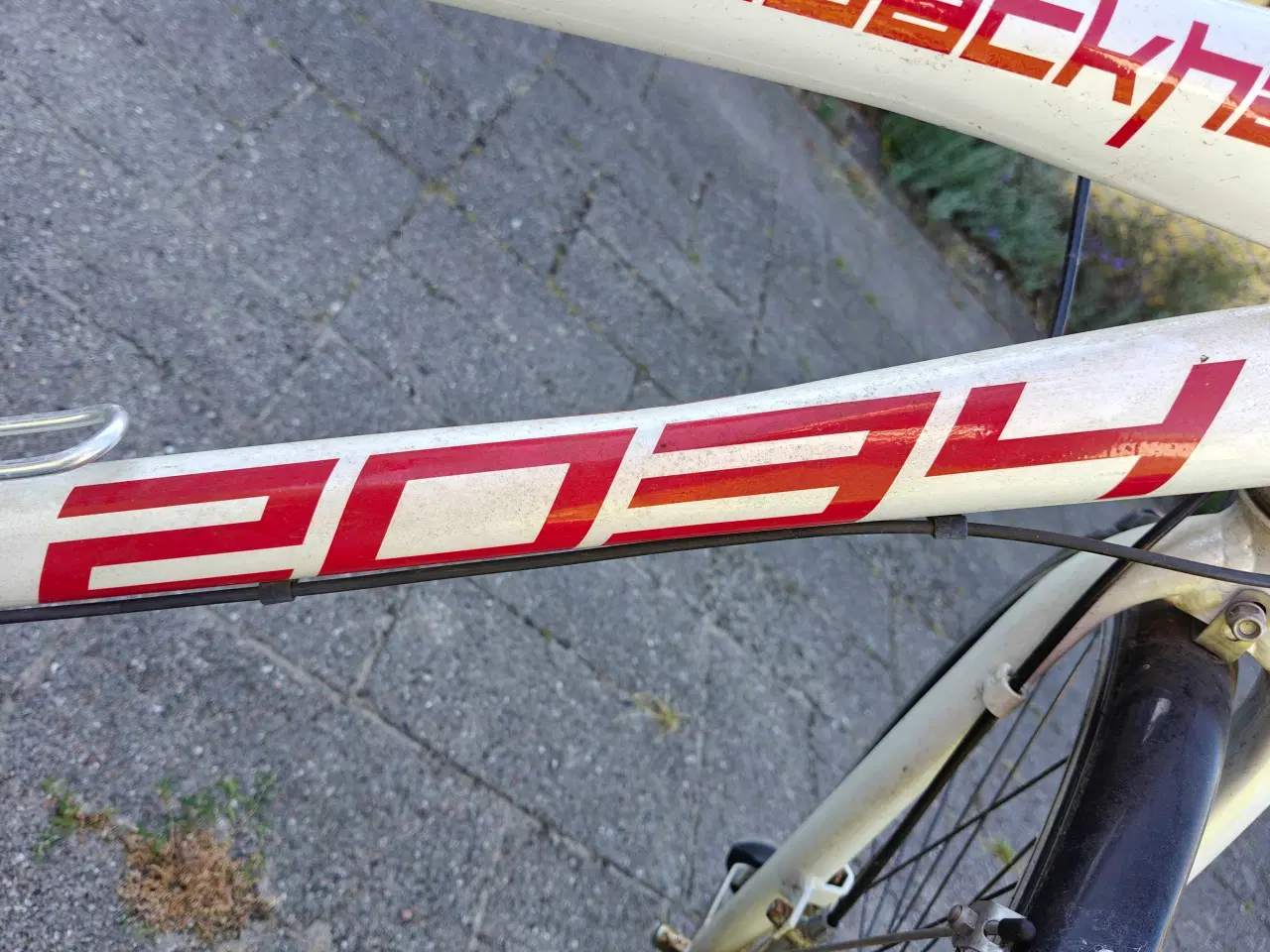 Billede 3 - Von Backhaus cykel