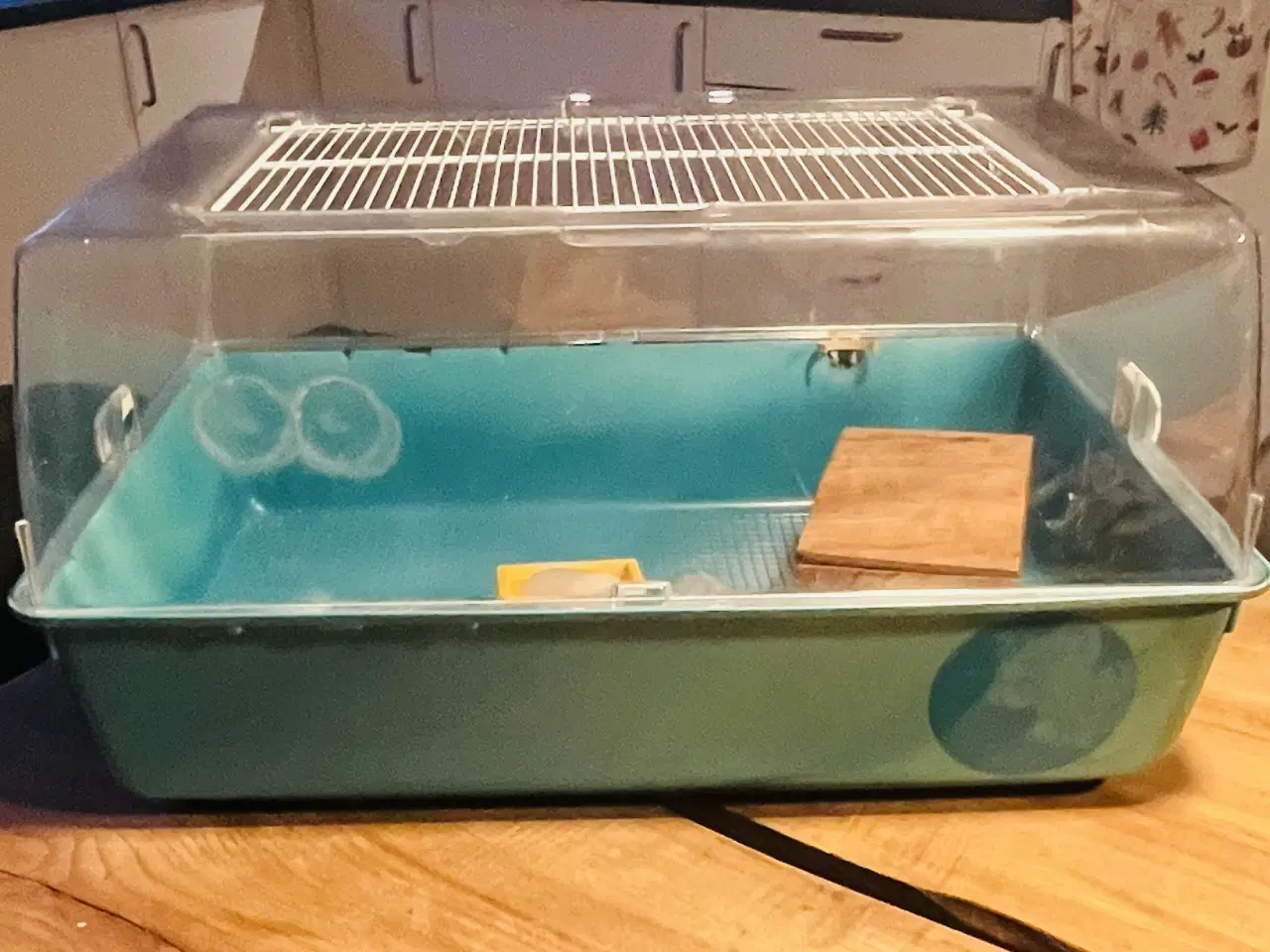 Billede 2 - Tyrkis Hamster bur