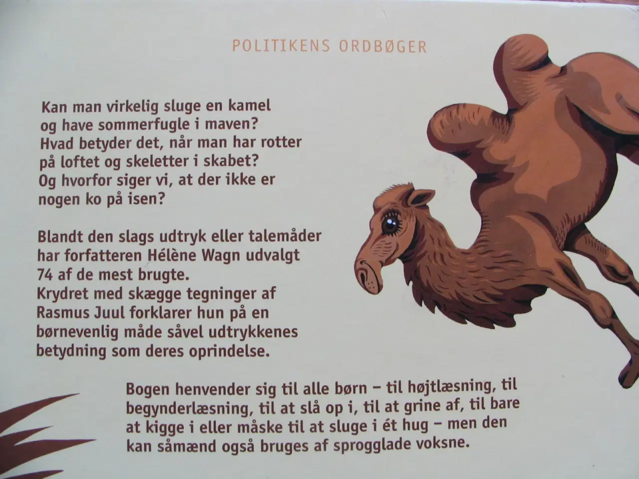 Billede 8 - Skeletter i skabet og 73 andre talemåder