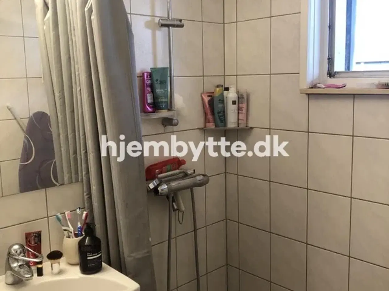 Billede 9 - Hjembytte - Skovengen