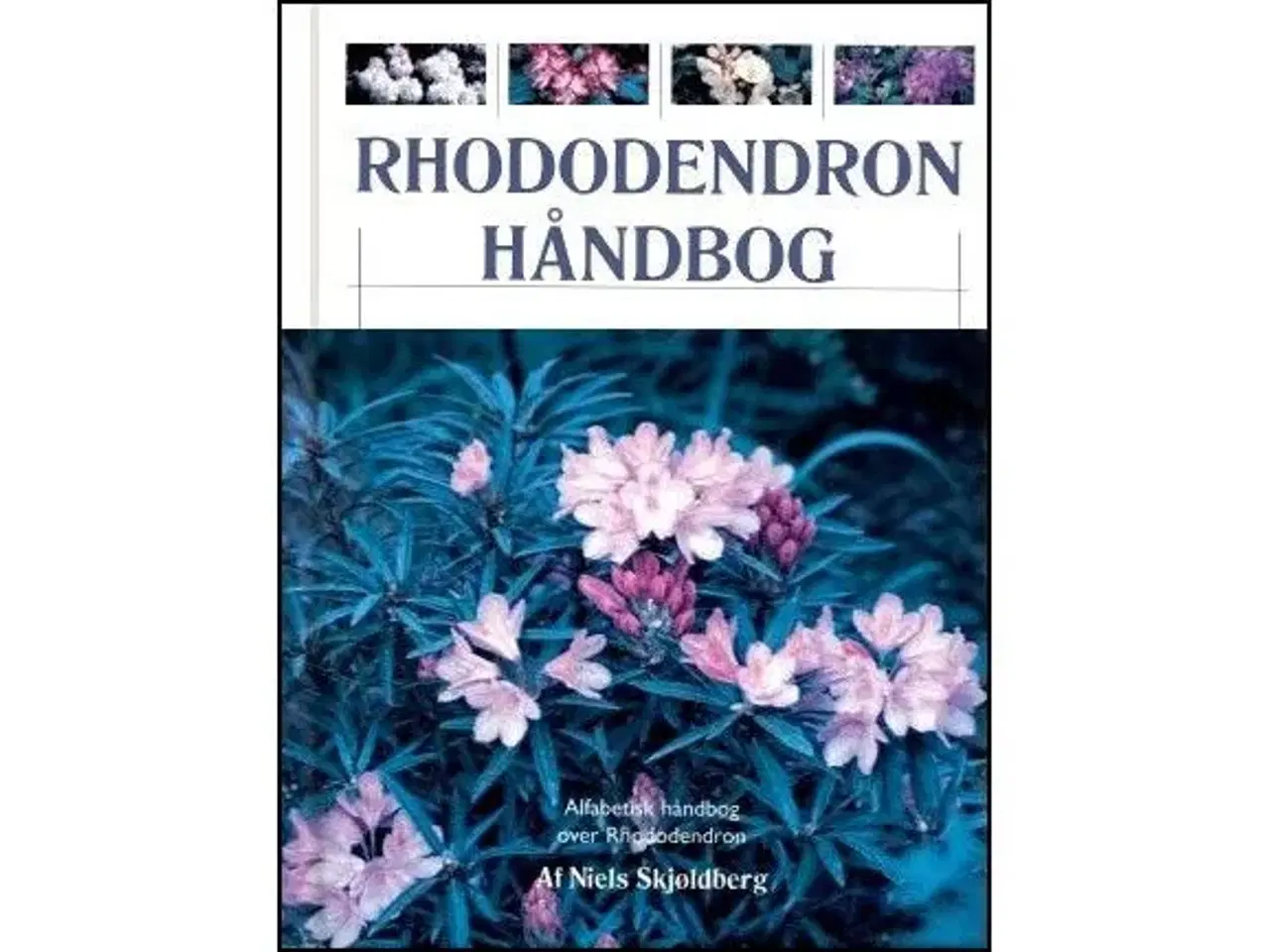 Billede 2 - Rhododendron og andre Surbundsplanter
