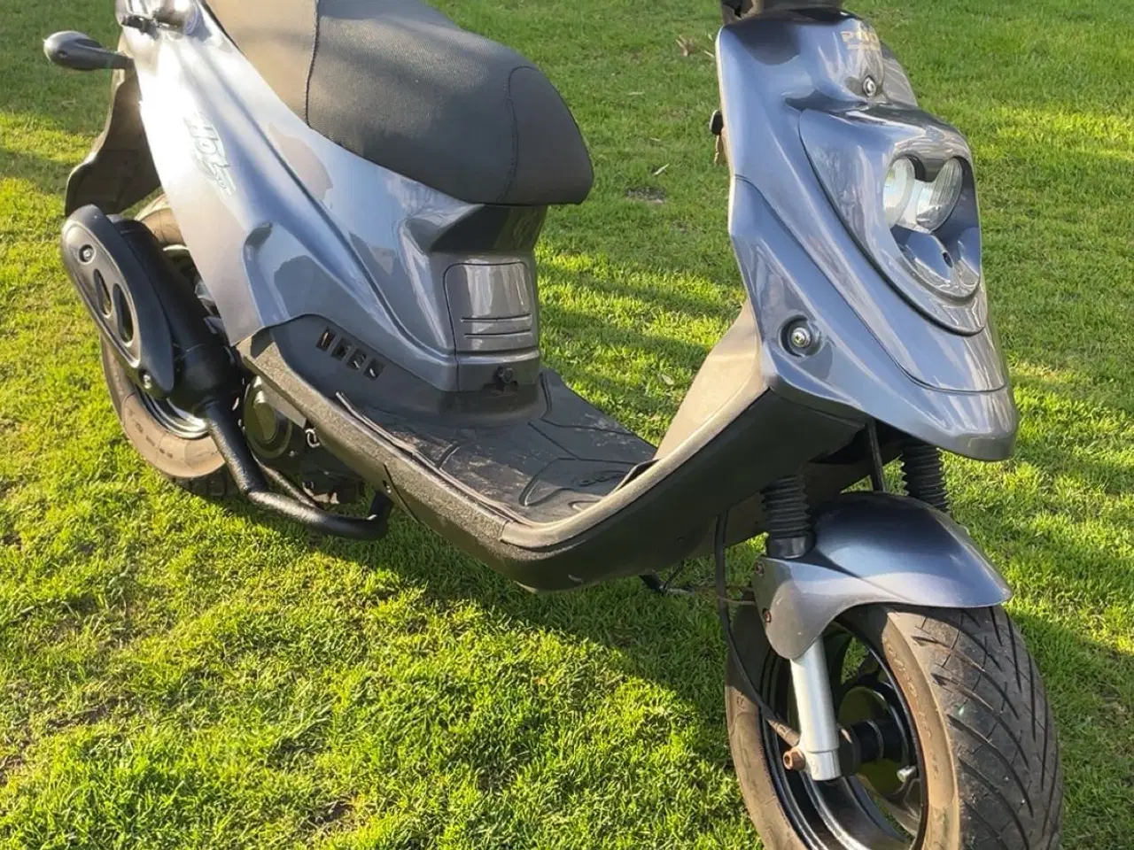 Billede 1 - Pgo