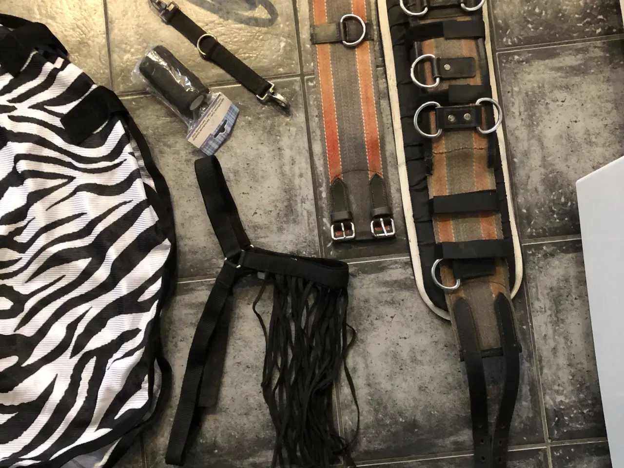 Billede 2 - rideudstyrs pakke med bla trense og longegjord