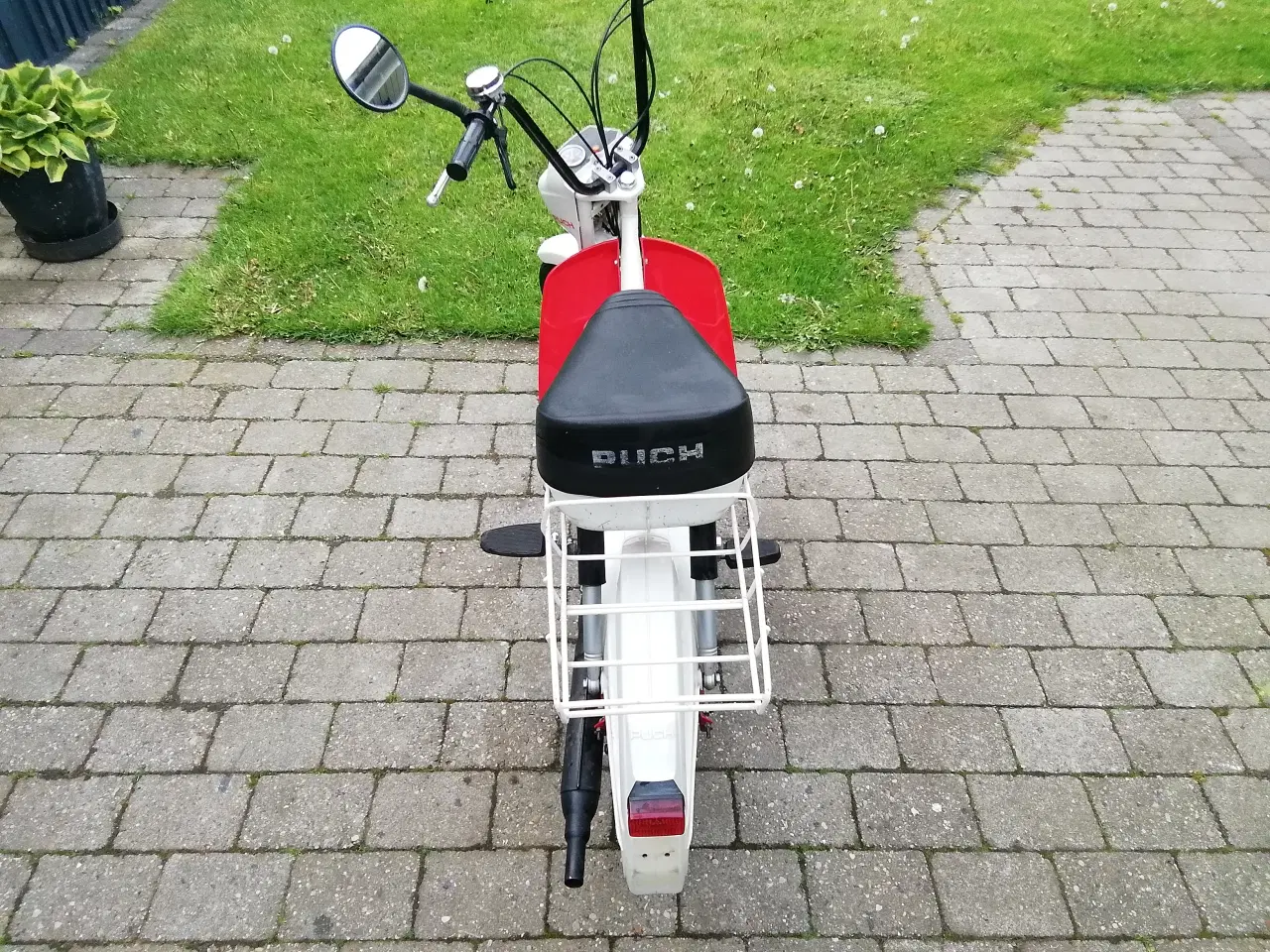 Billede 4 - Puch Maxi Mini