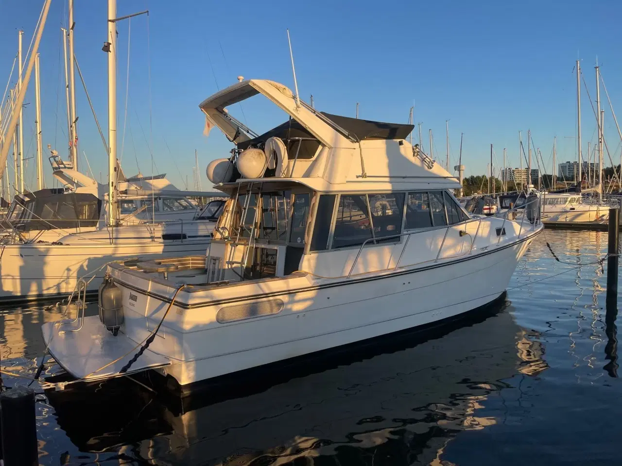 Billede 4 - Bayliner 3288 Flybridge