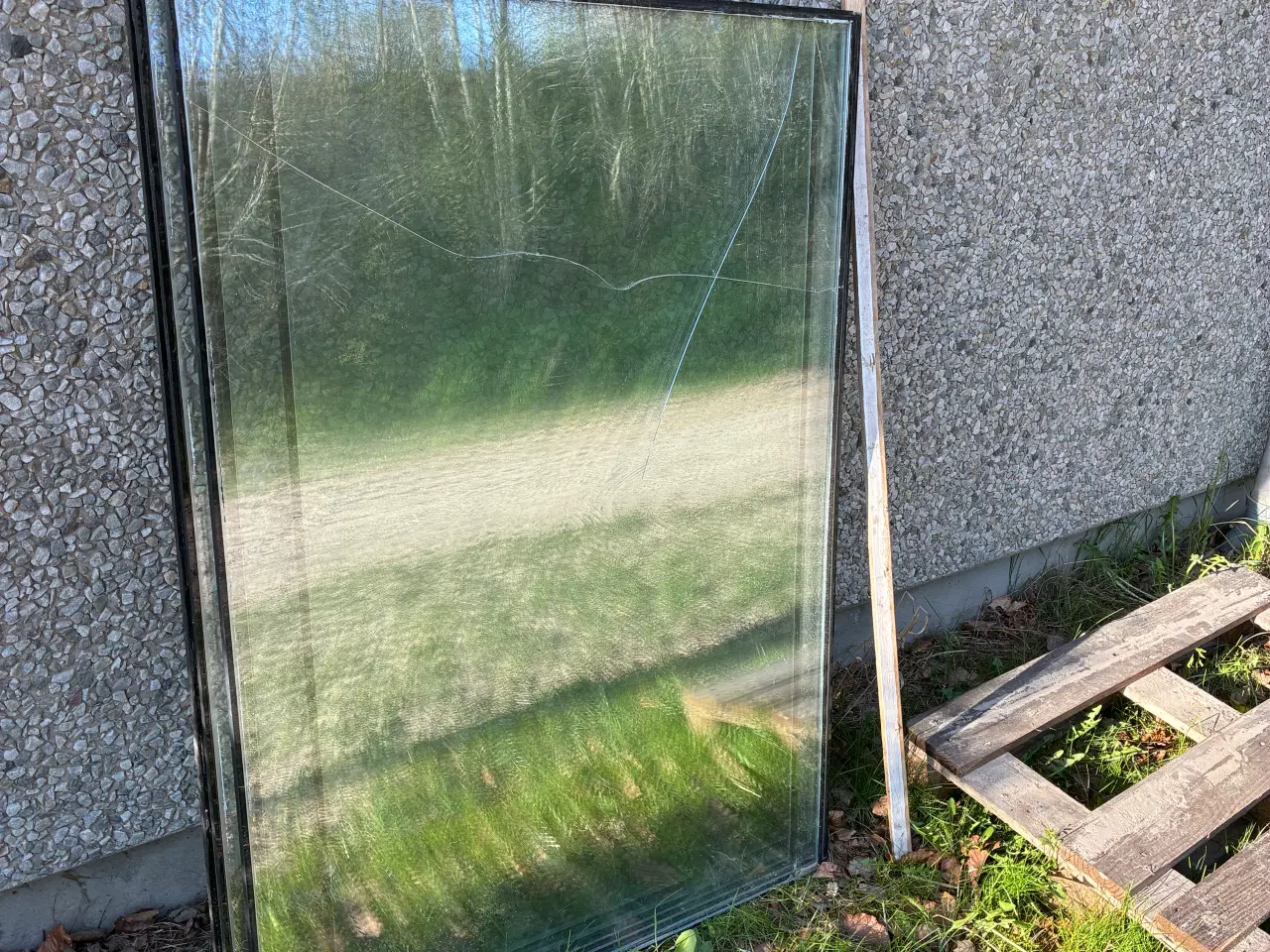 Billede 1 - Glas til drivhus