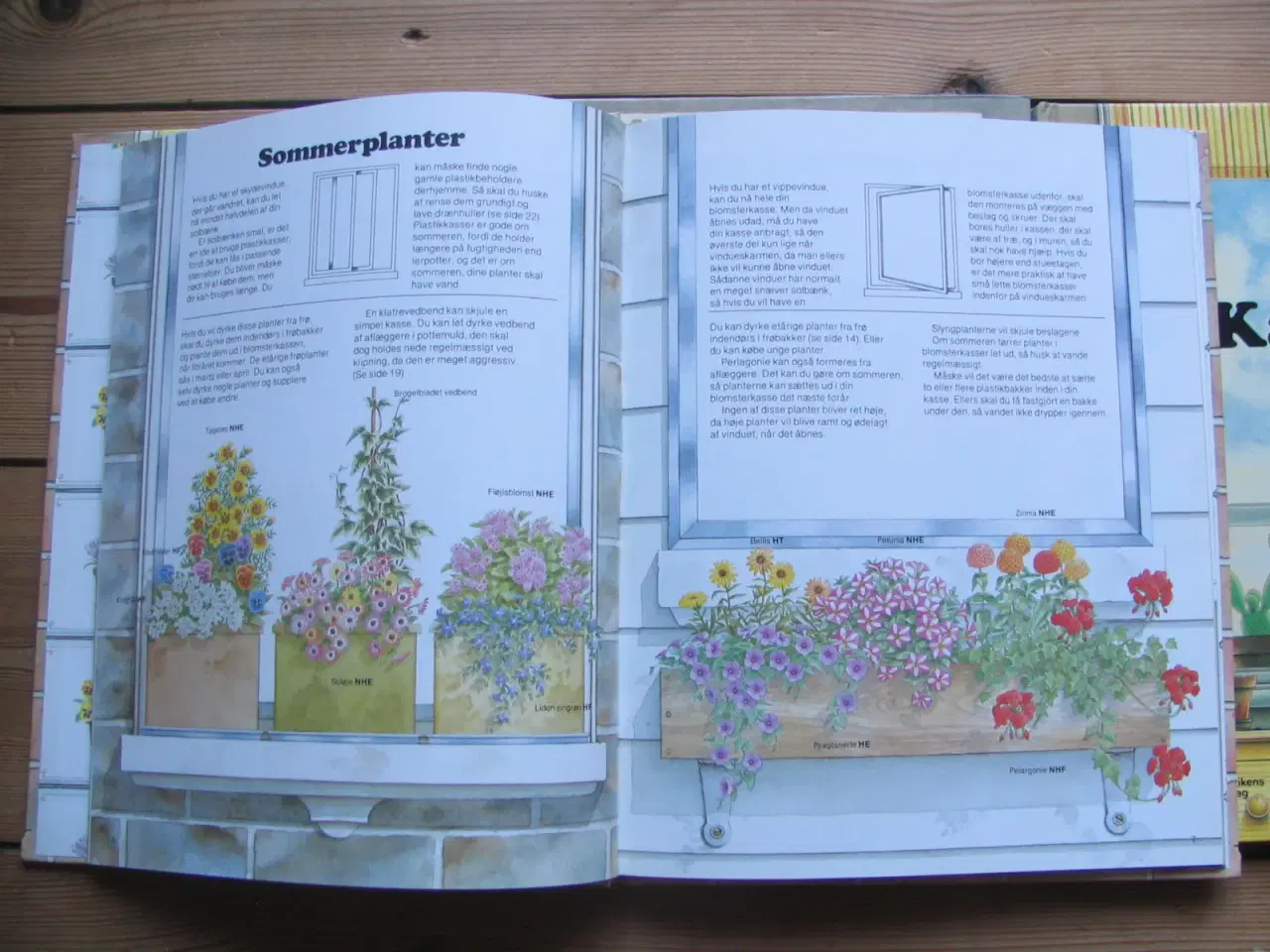 Billede 3 - Sue Tarsky, 3 bøger om planter og blomster