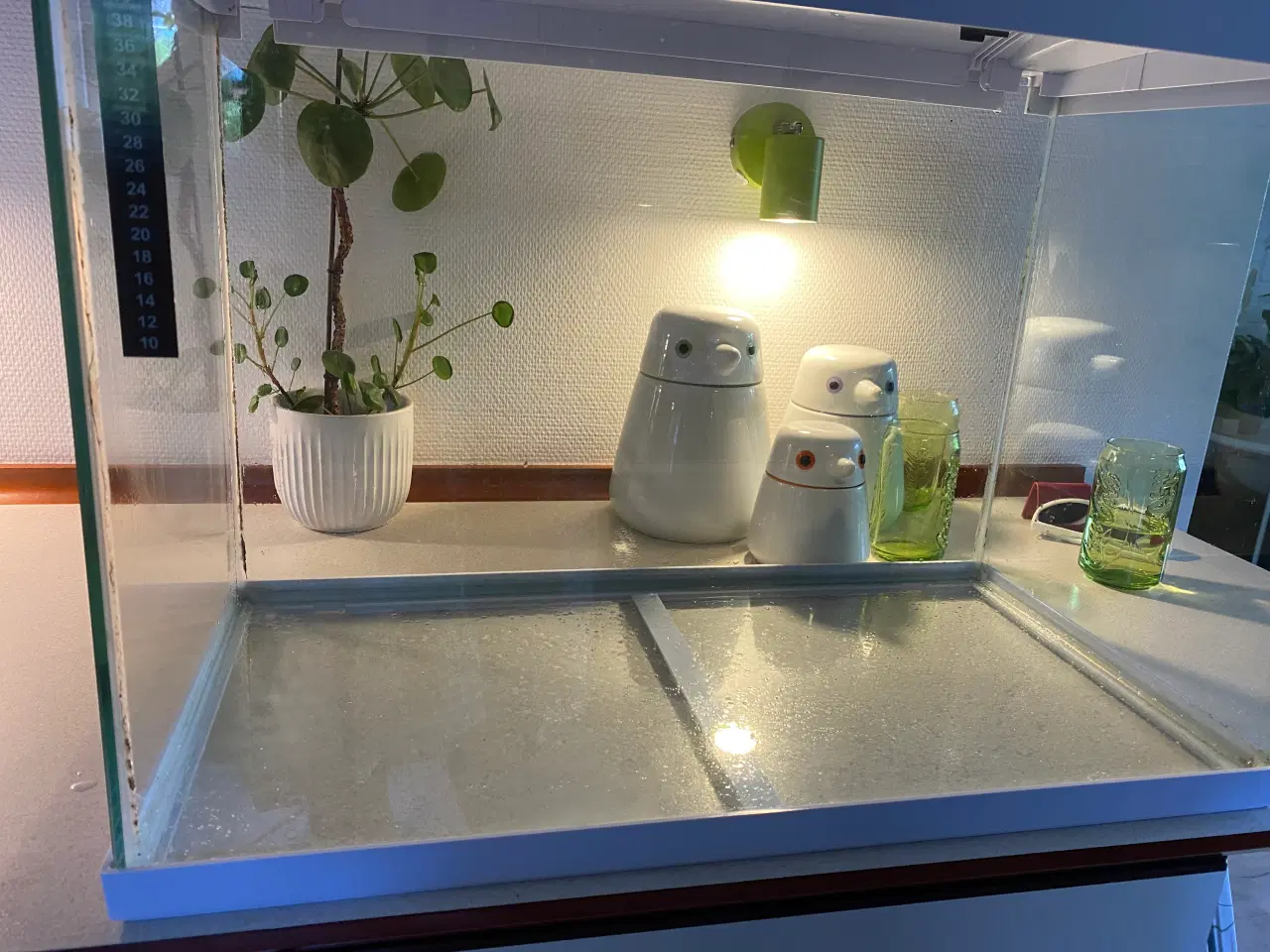 Billede 2 - Hvidt akvarium