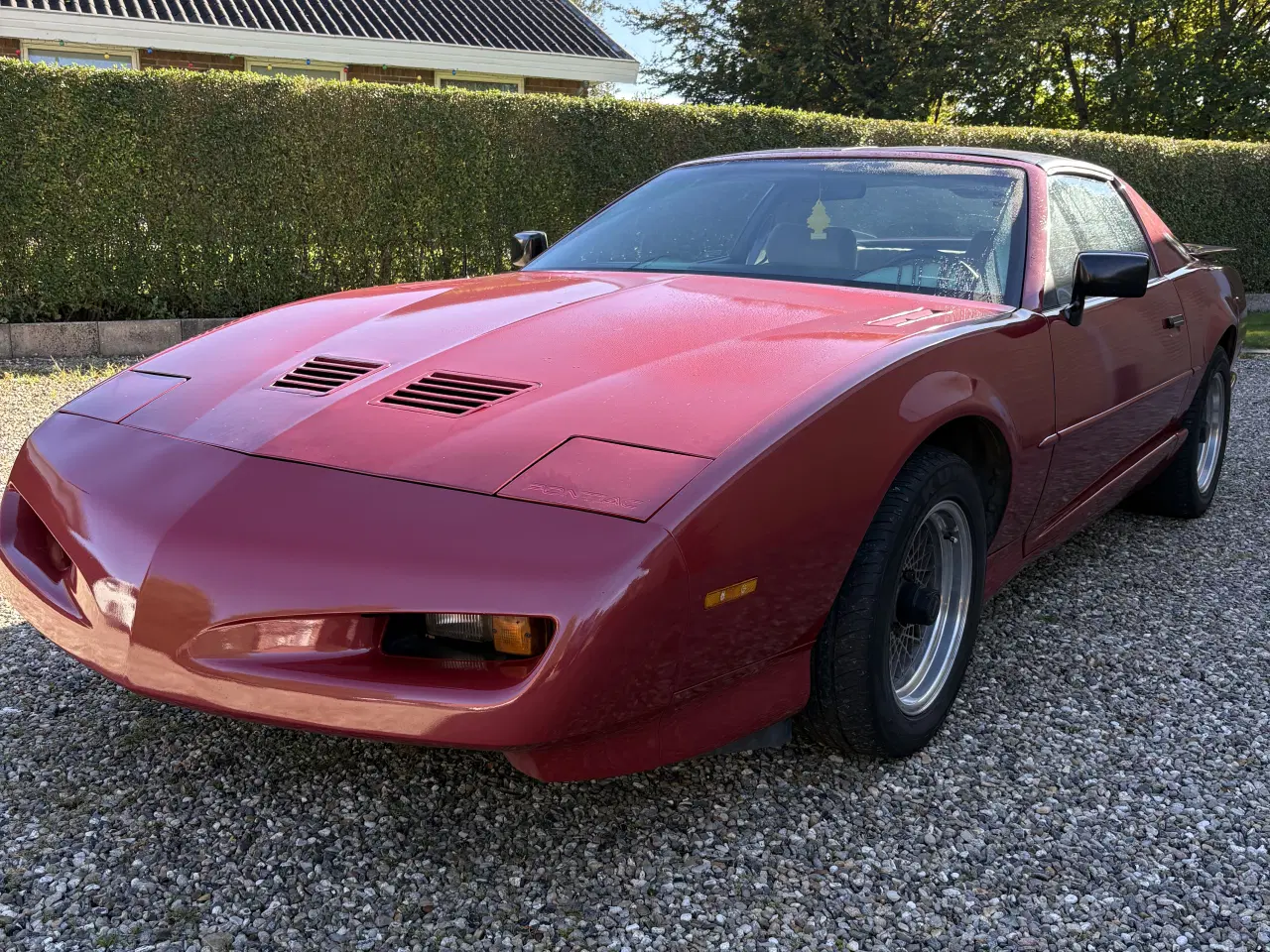 Billede 1 - Pontiac trans am 5.0 v8 Targa 