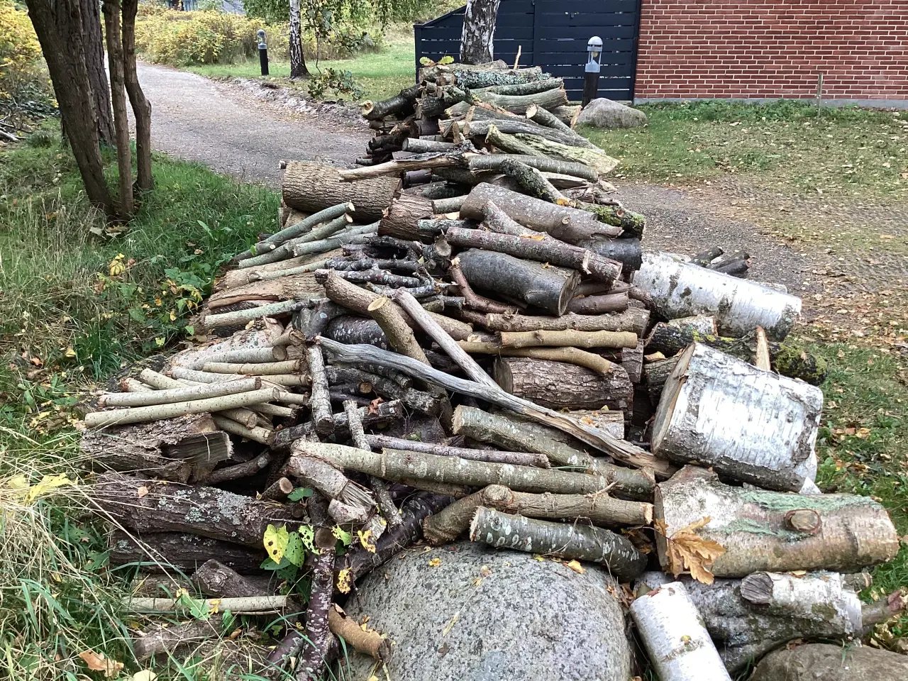 Billede 3 - Firewood