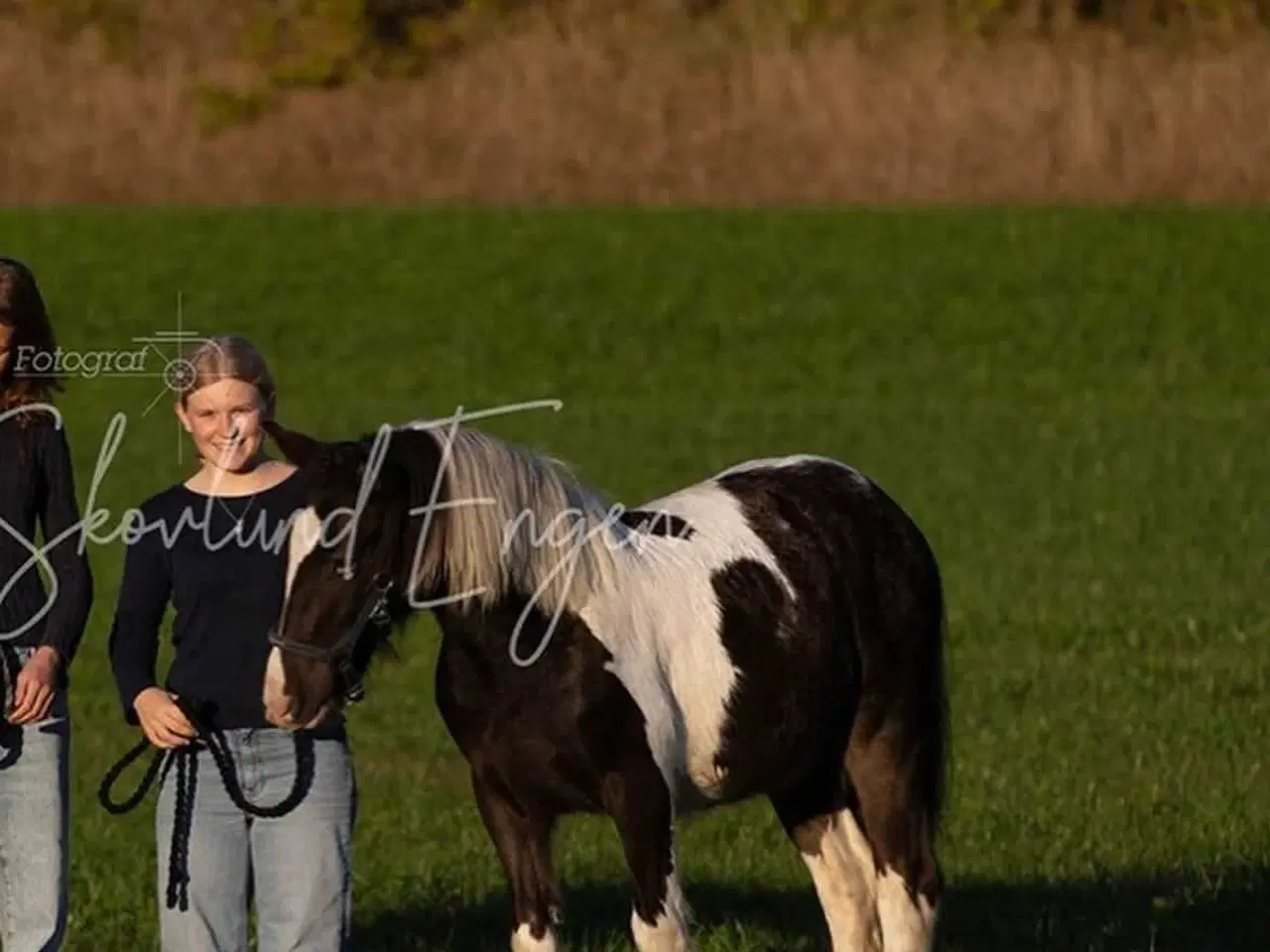 Billede 5 - OPLAGT BØRNEPONY ELLER RIDESKOLE EMNE!⭐⭐