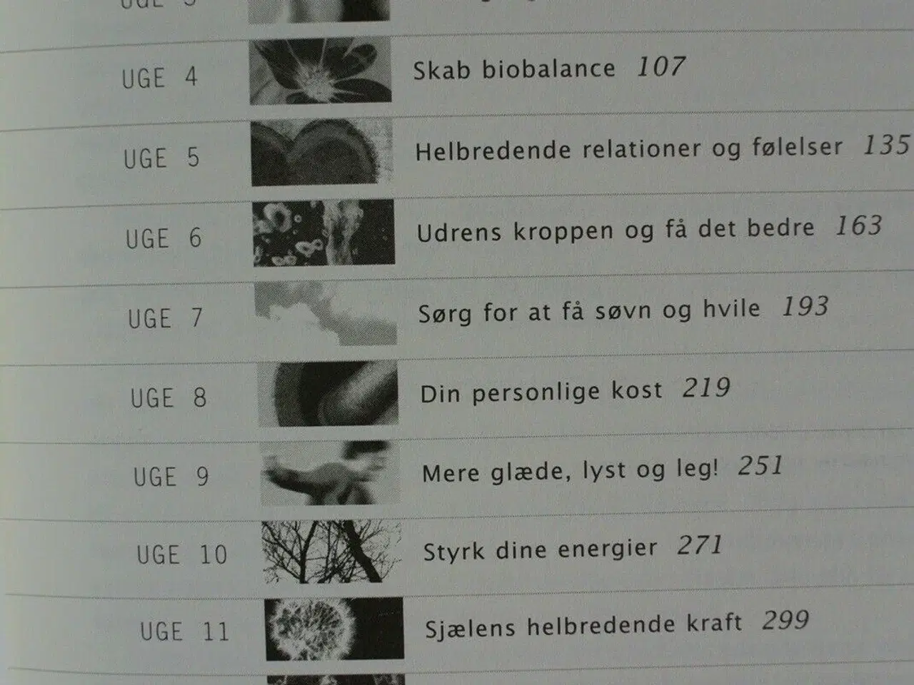 Billede 2 - få et selvhelbredende liv på 12 uger, af sanna ehd