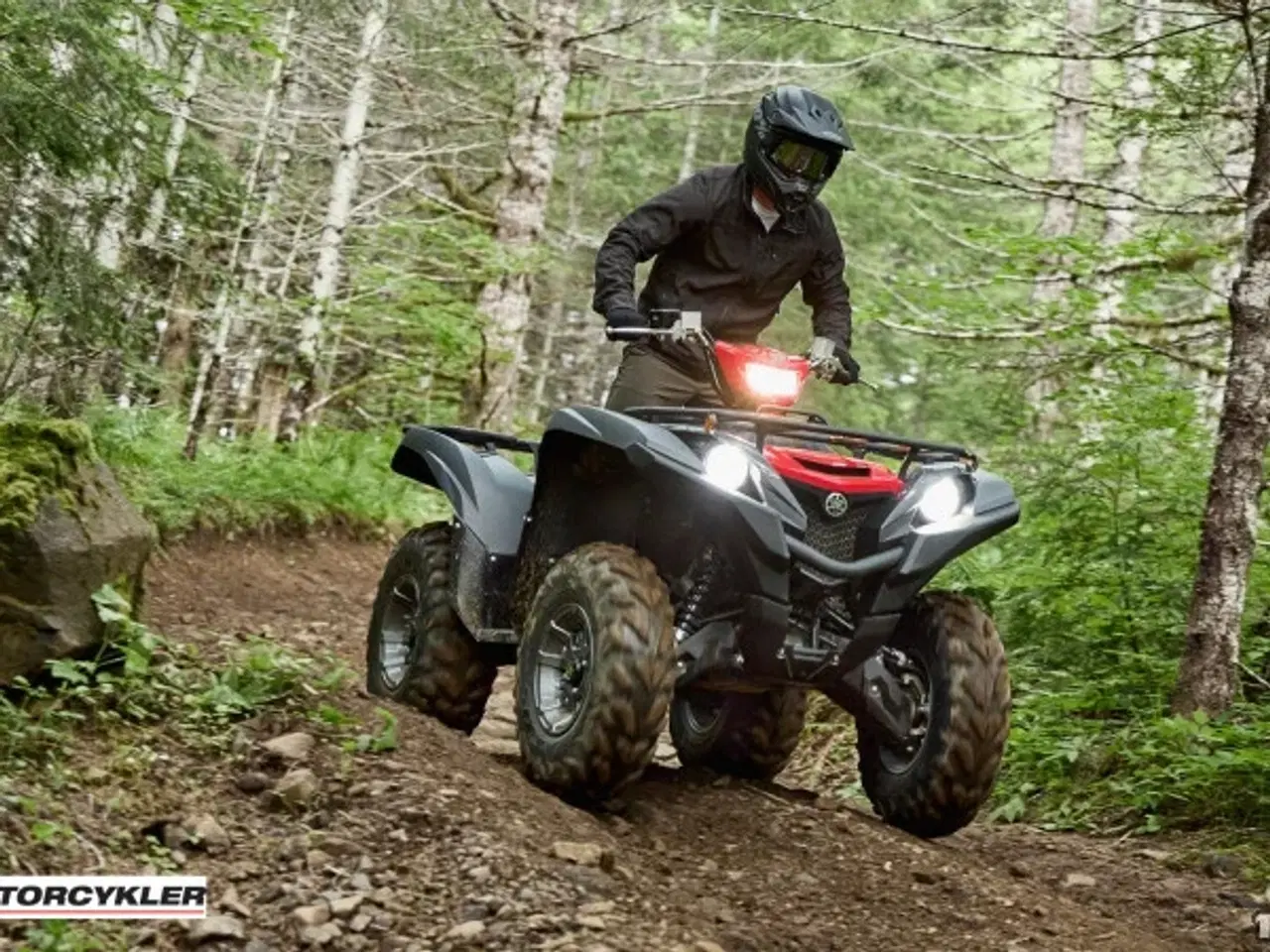 Billede 9 - Yamaha Grizzly 700 EPS Traktor