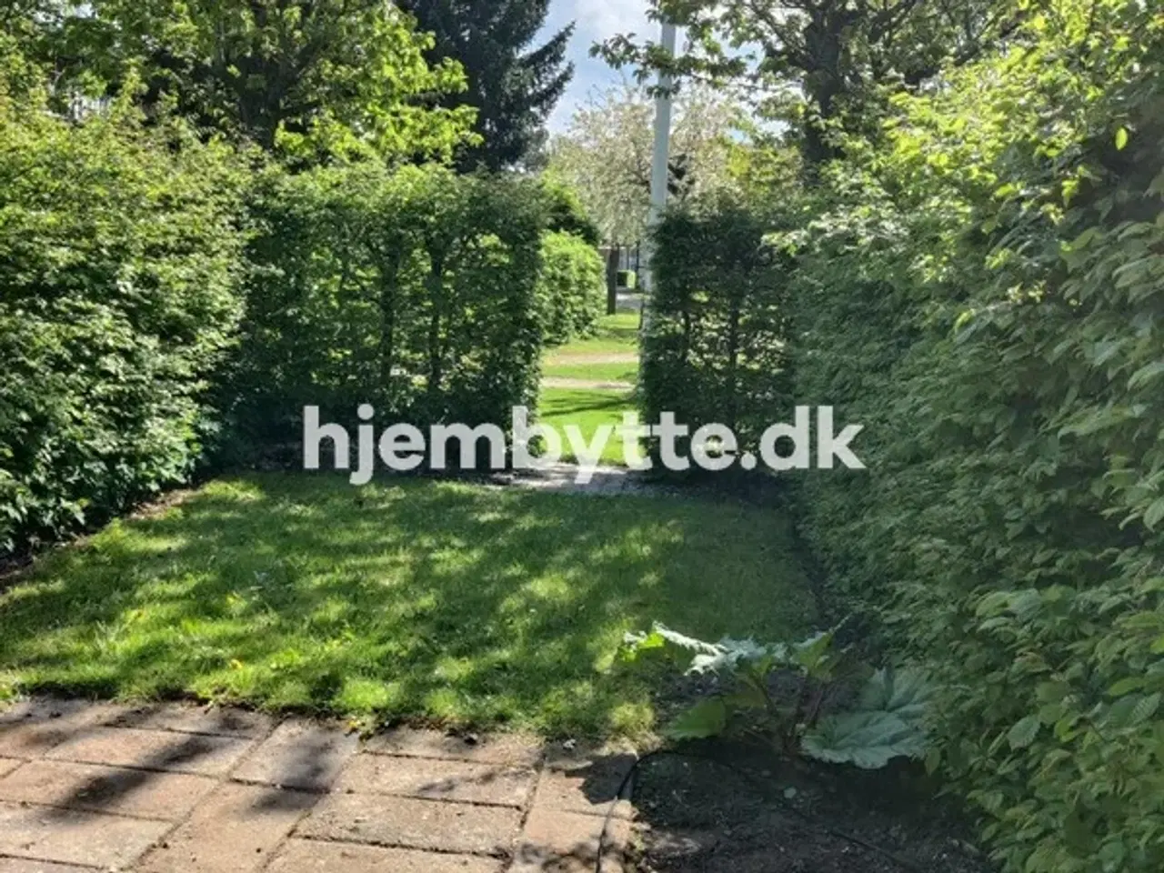 Billede 11 - Hjembytte - SvanholmVænge