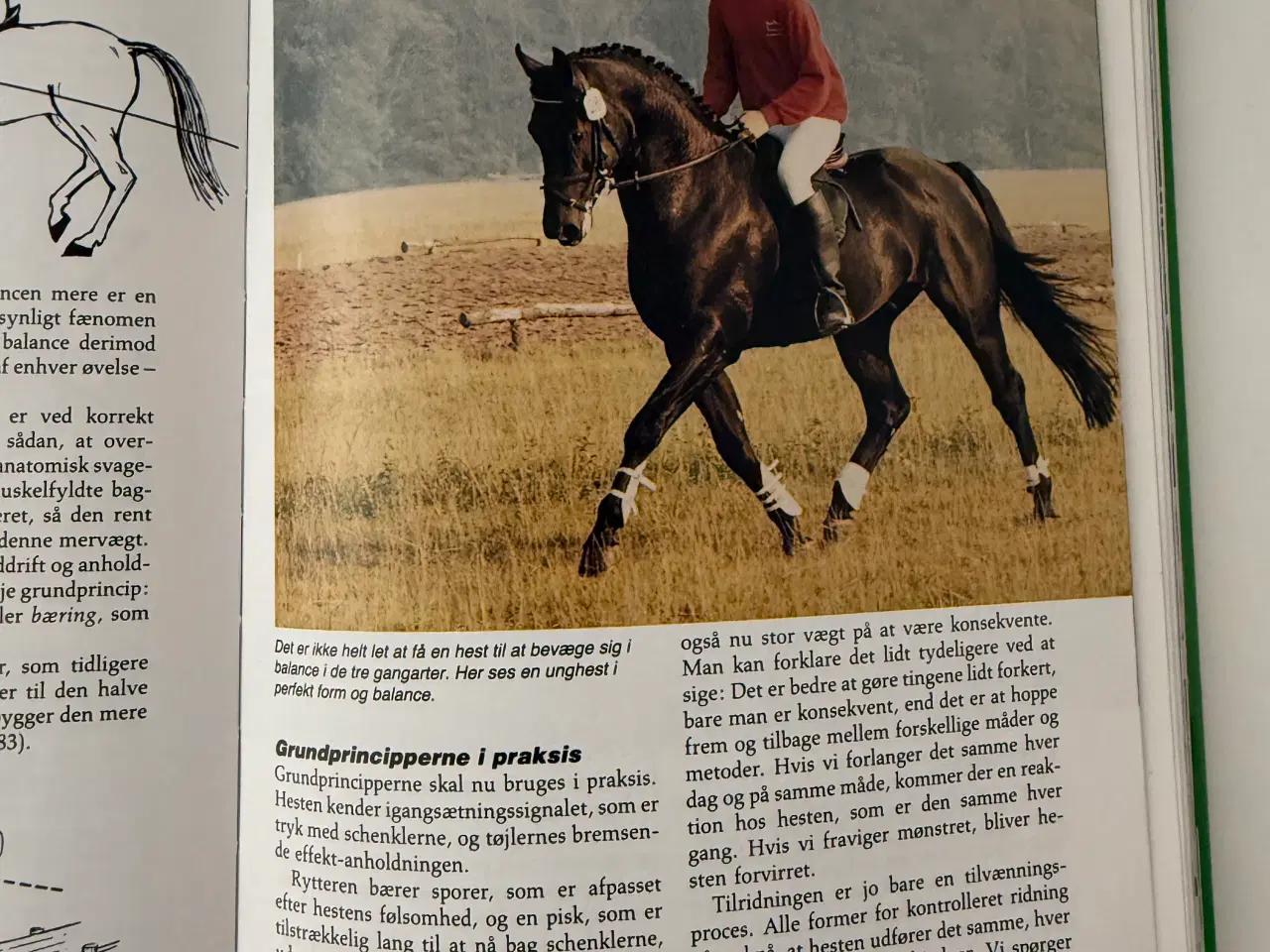 Billede 9 - Politikens Ridebog - ridehåndbog