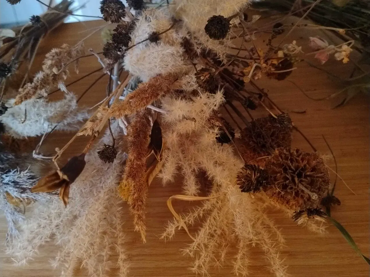 Billede 2 - Tørrede naturbuketter 