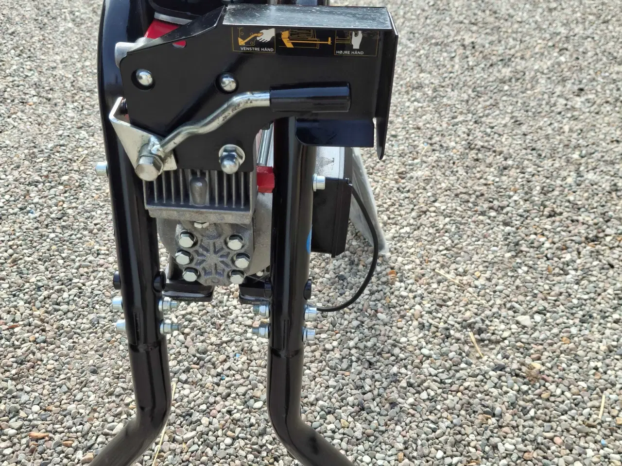 Billede 3 - Høj Brændekløver fra 2022